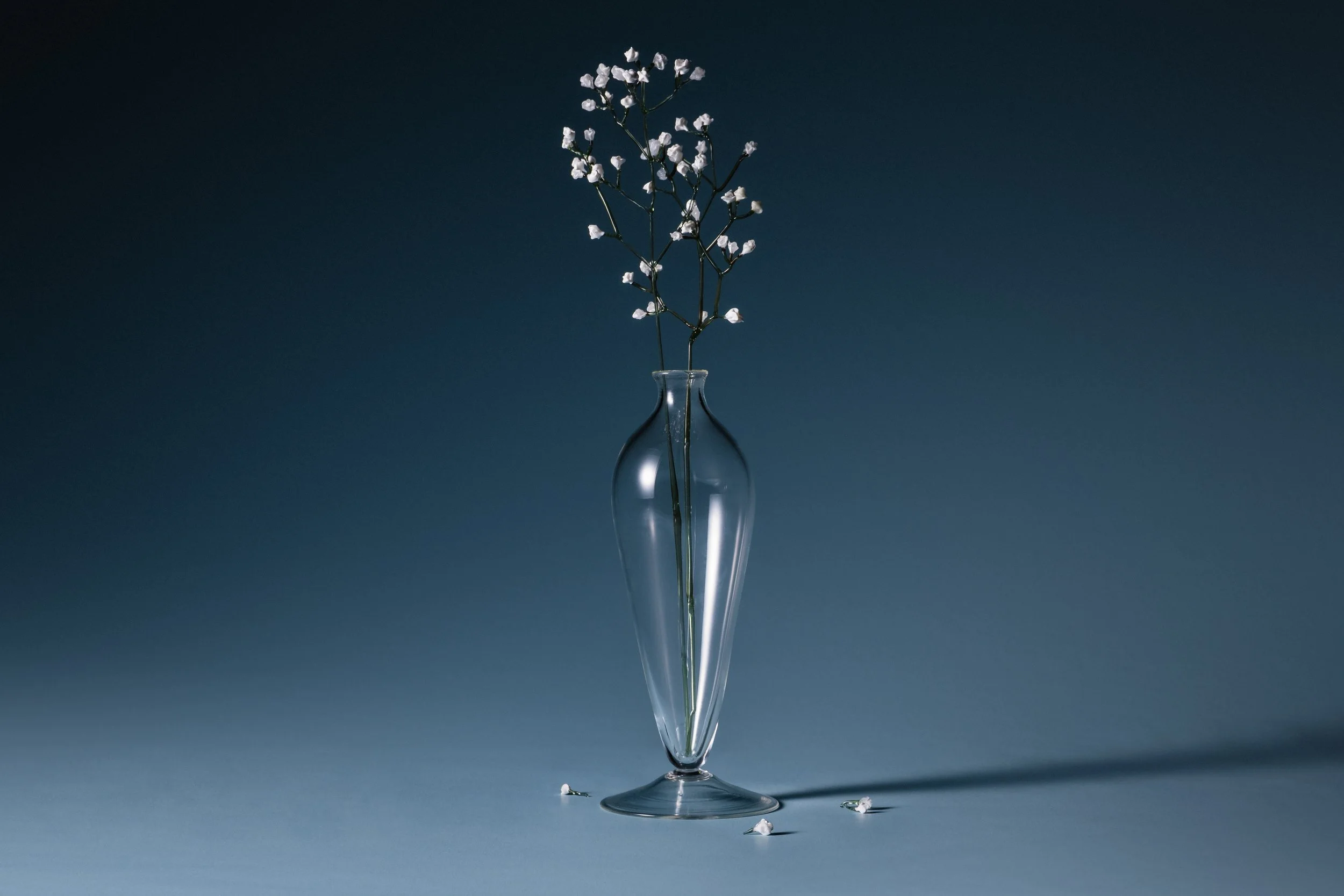 Domestic Archives - 'Babys Breath'
Flameworked and Blown Glass, 2025
Acquired by Wagga Wagga National Glass Gallery