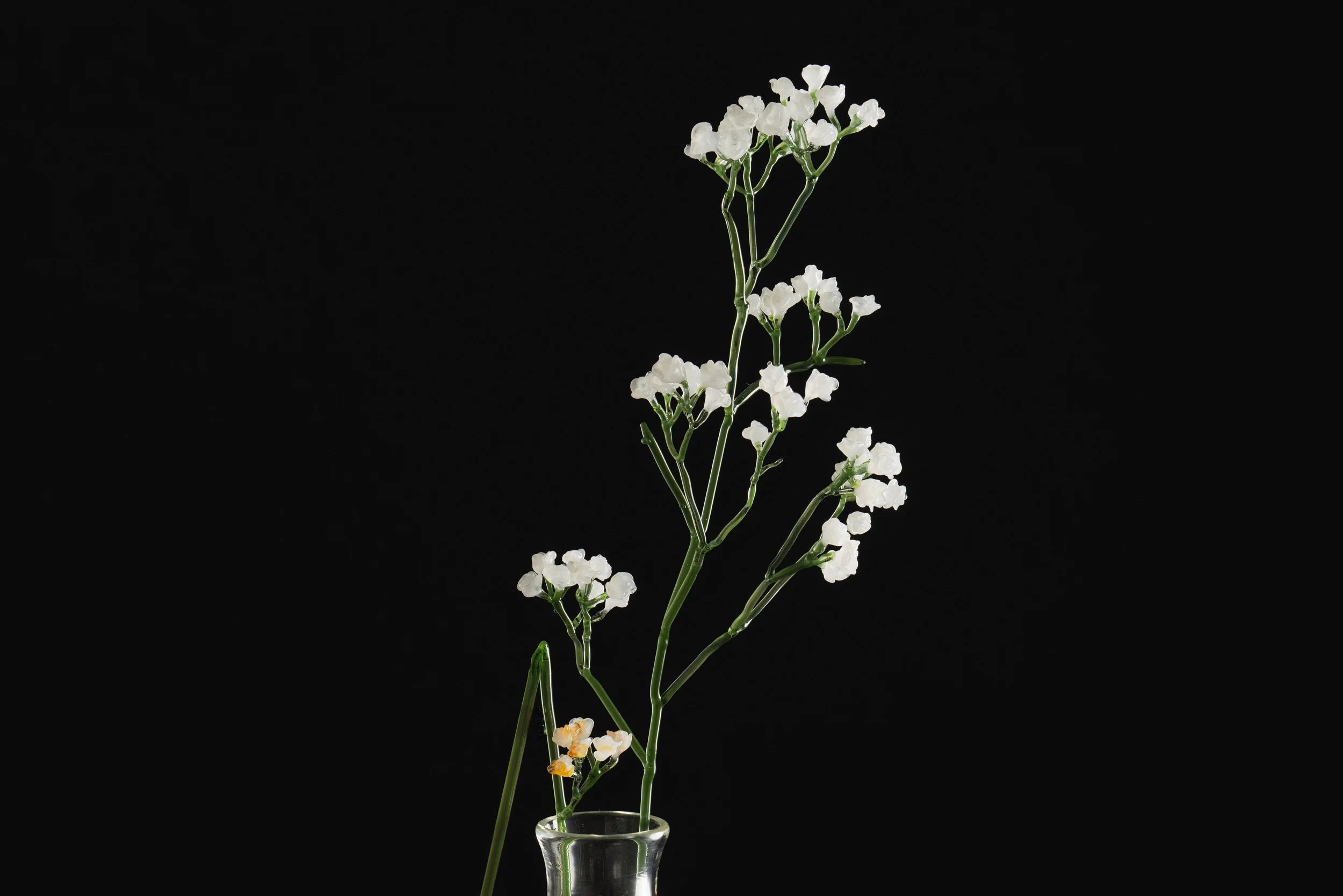 Babys Breath - 'Still For Now' 2026
Blown and Flameworked Glass