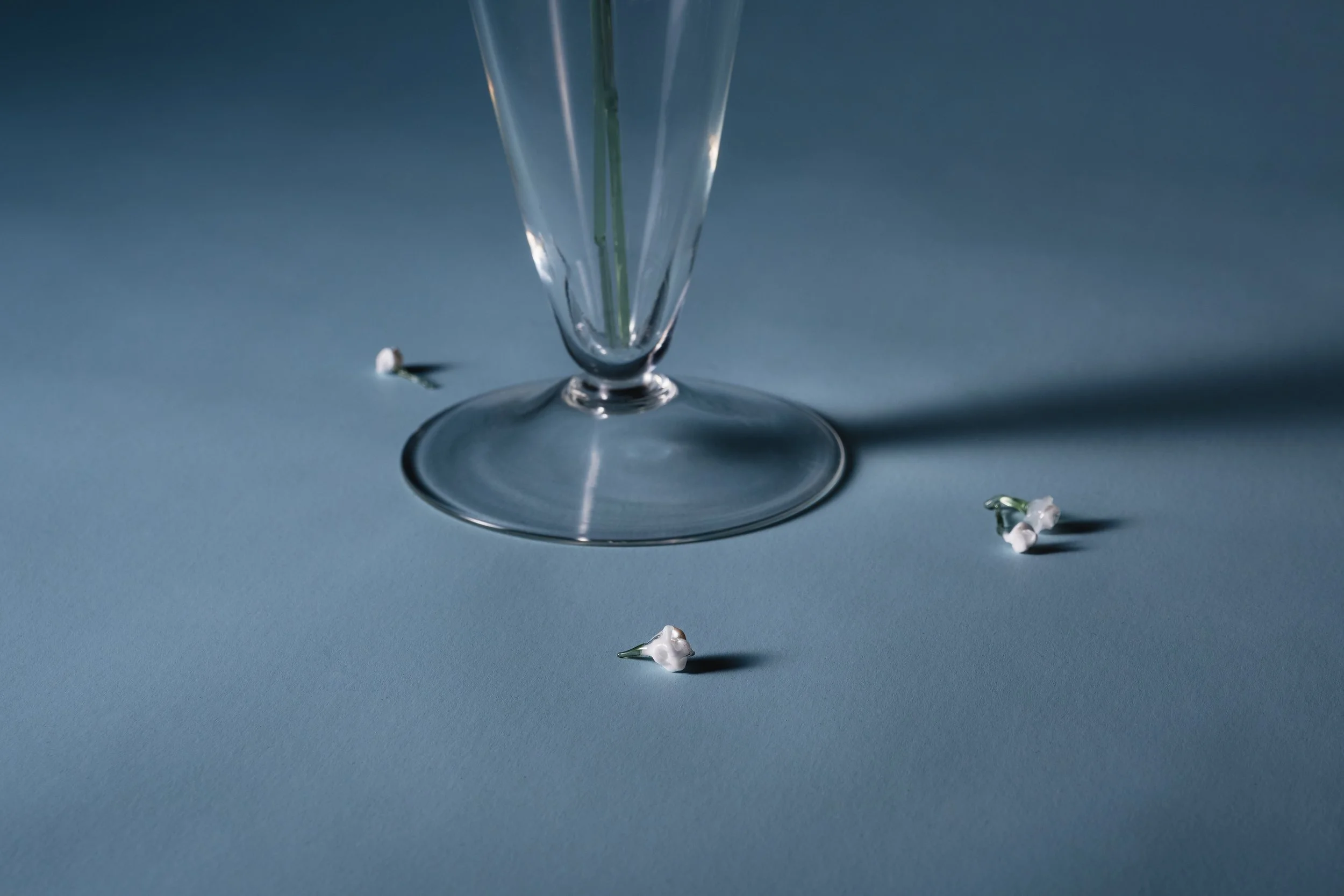 Domestic Archives - 'Babys Breath'
Detail, Flameworked and Blown Glass, 2025