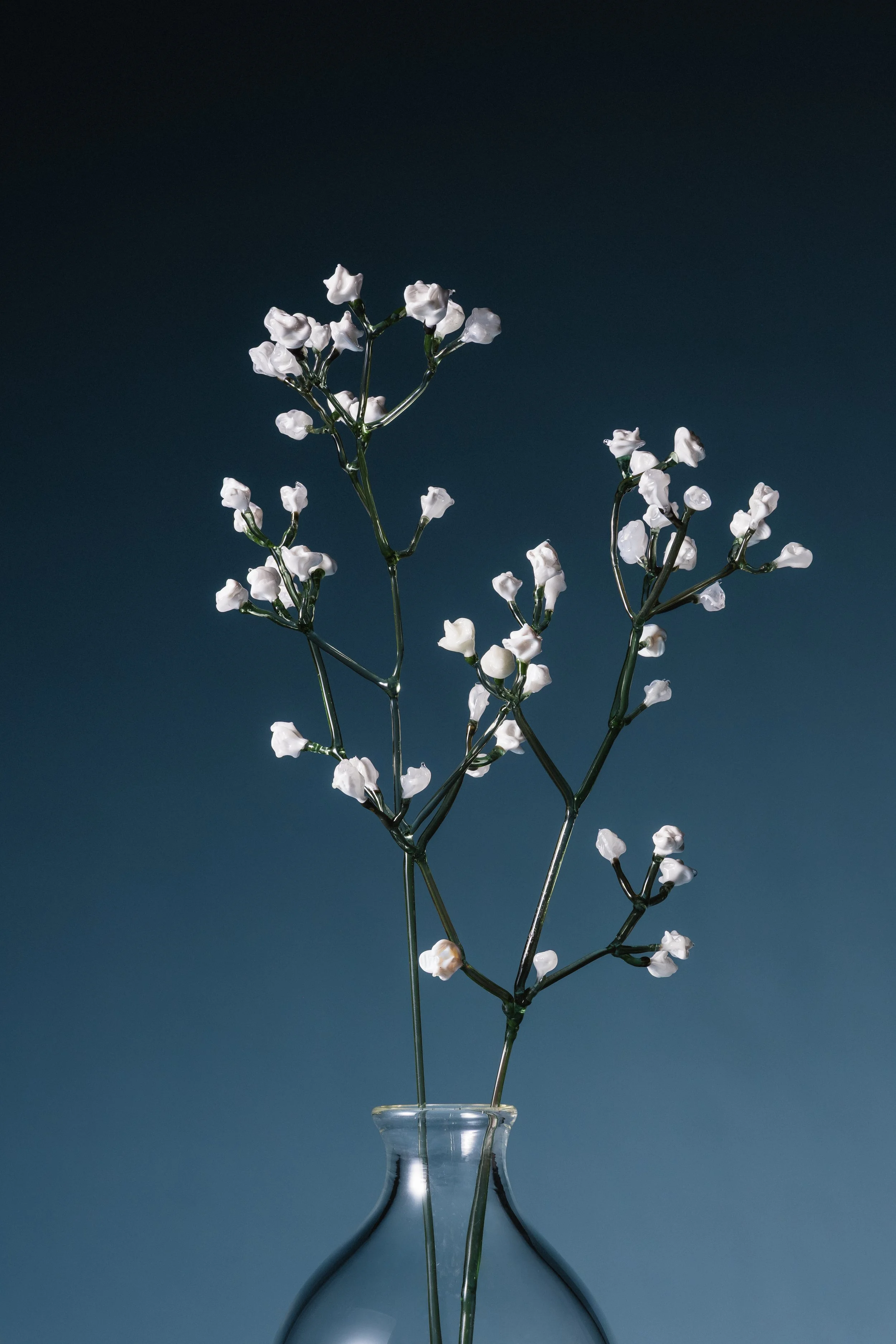 Domestic Archives - 'Babys Breath'
Detail, Flameworked and Blown Glass, 2025