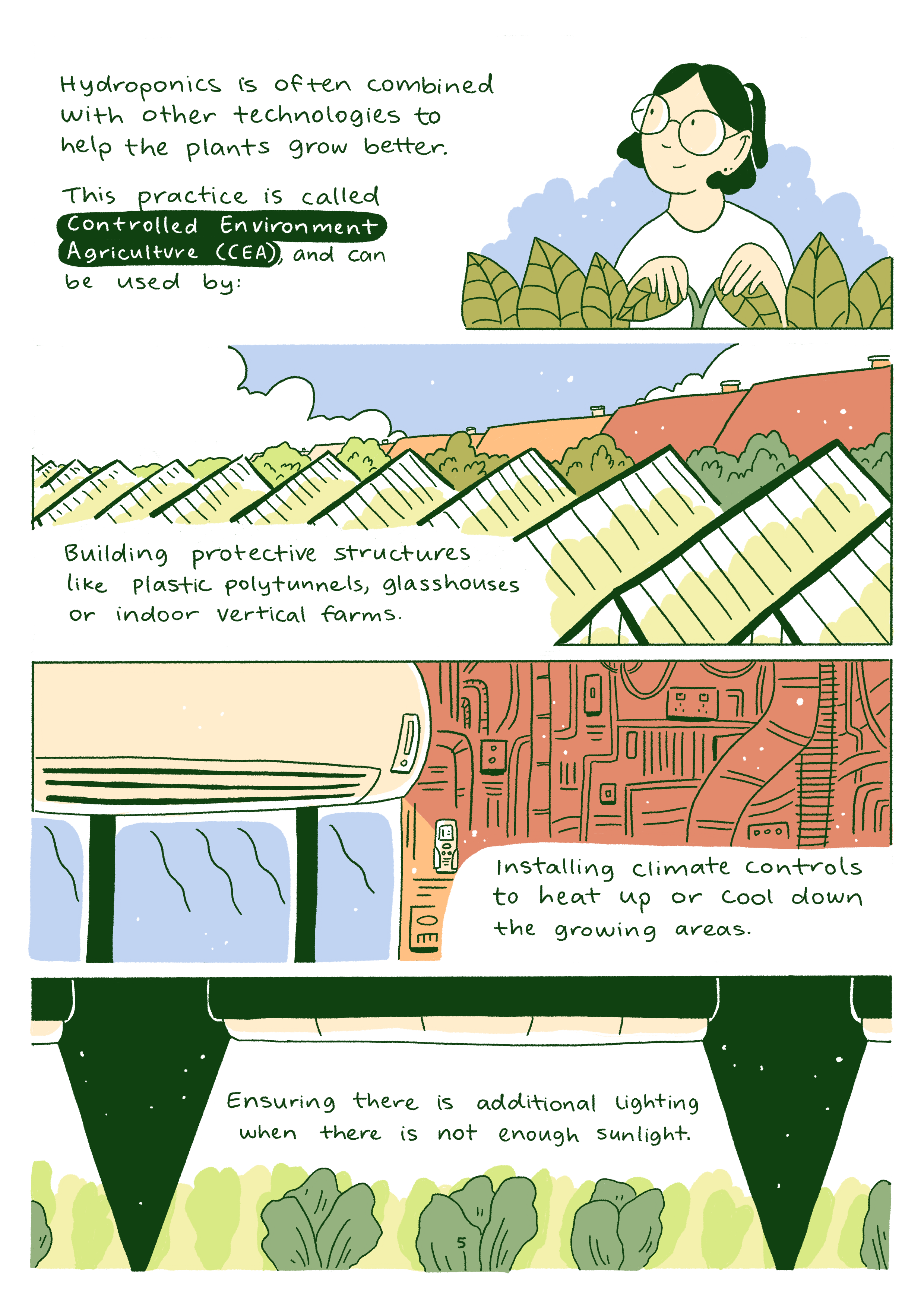 5._What_Is_Hydroponics 5.png