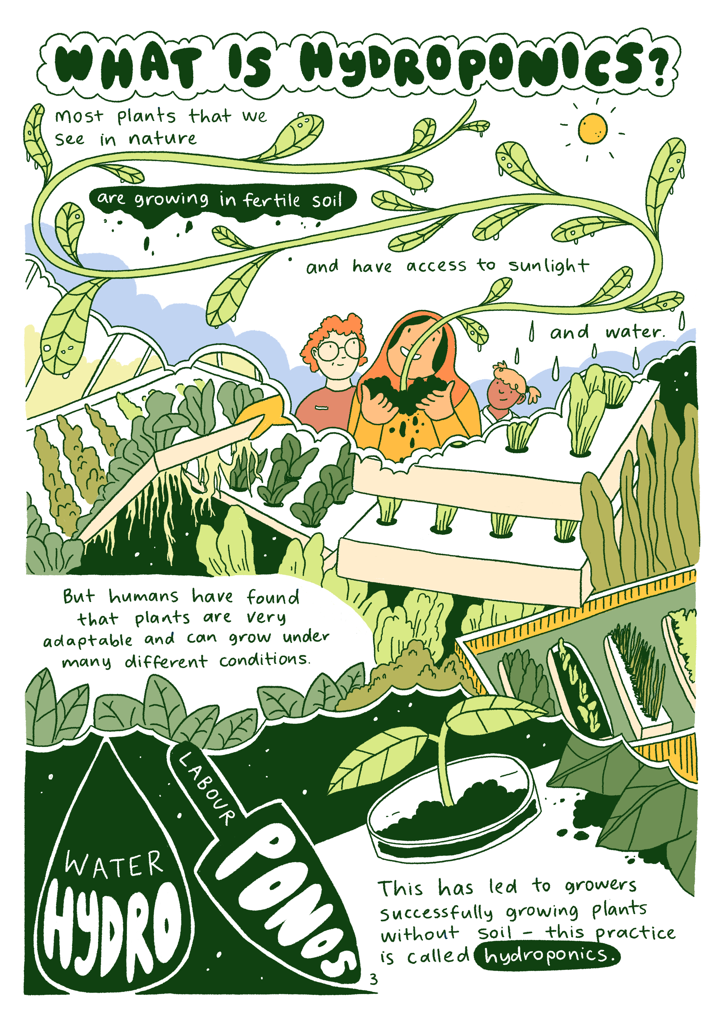 3._What_Is_Hydroponics 11.png