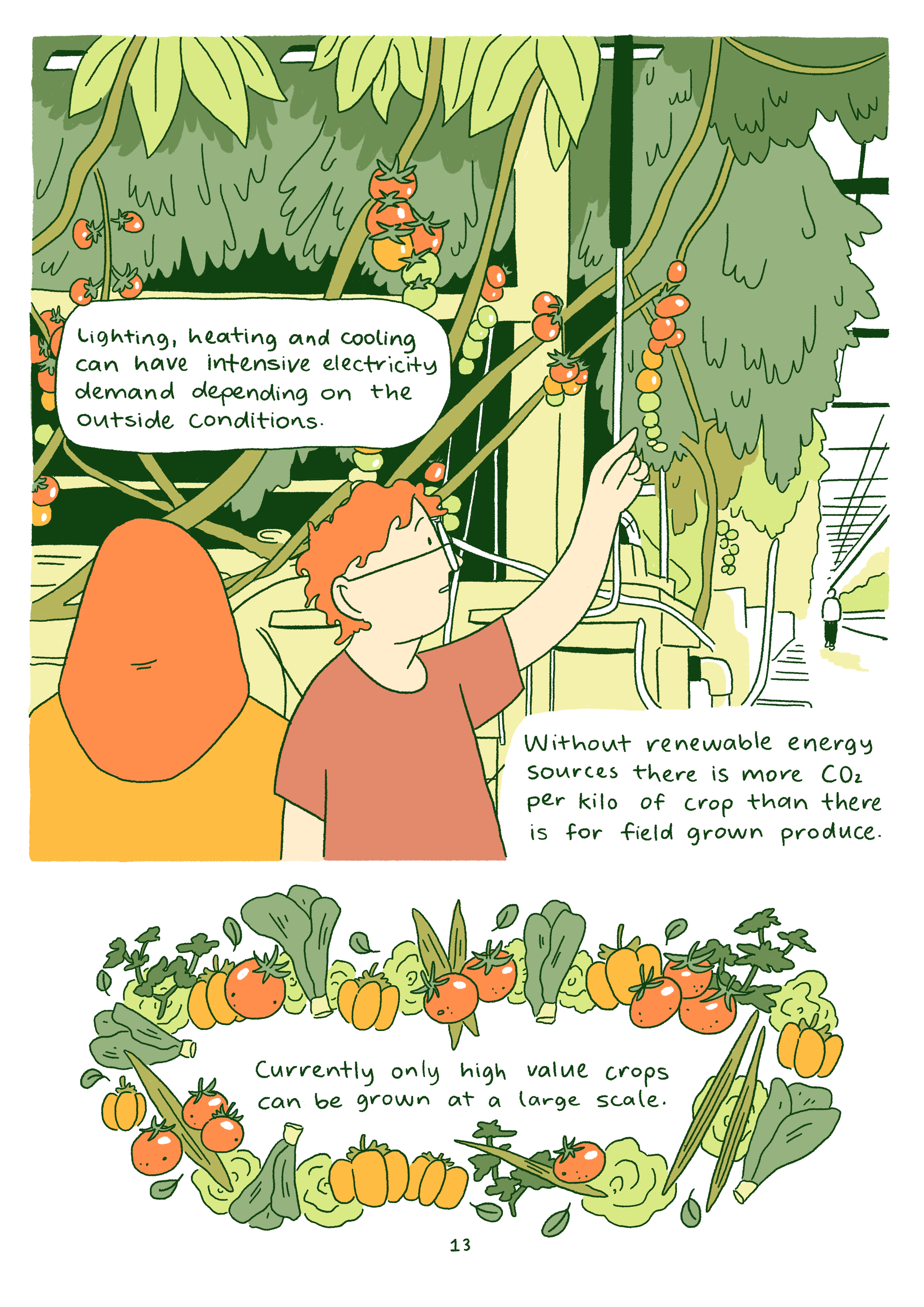 13._Limitations_Of_Hydroponics 5.png
