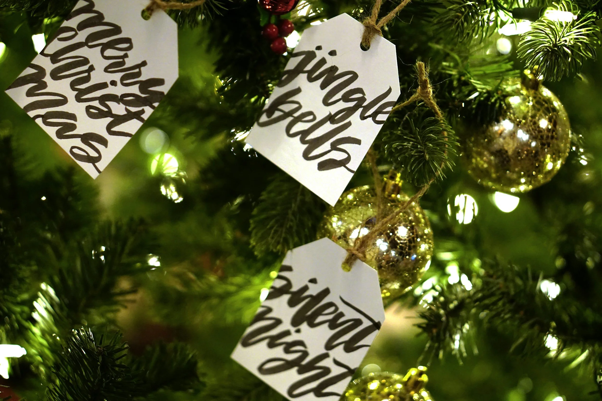 Carols for Christmas