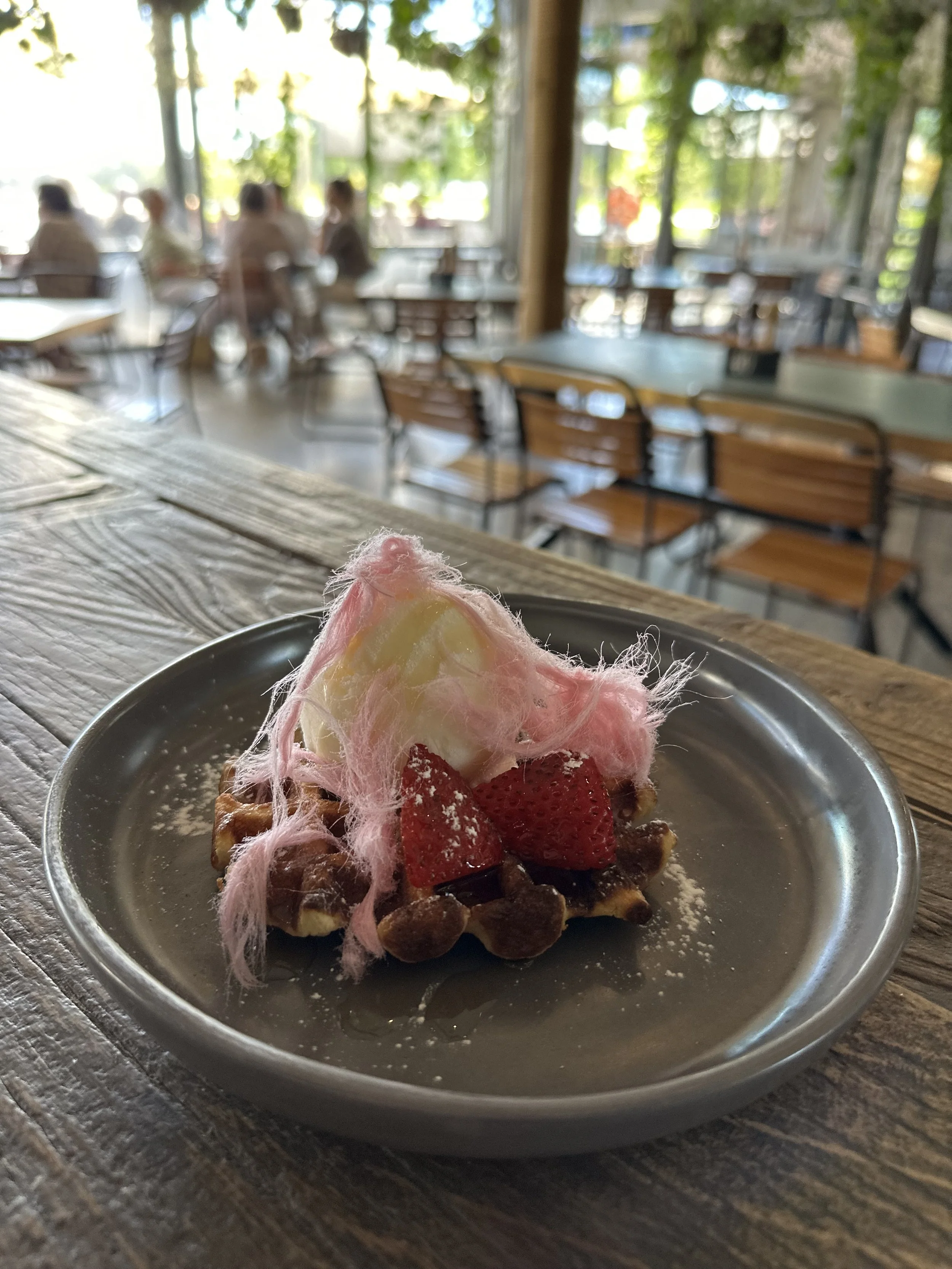 Under 12's Waffle.jpg