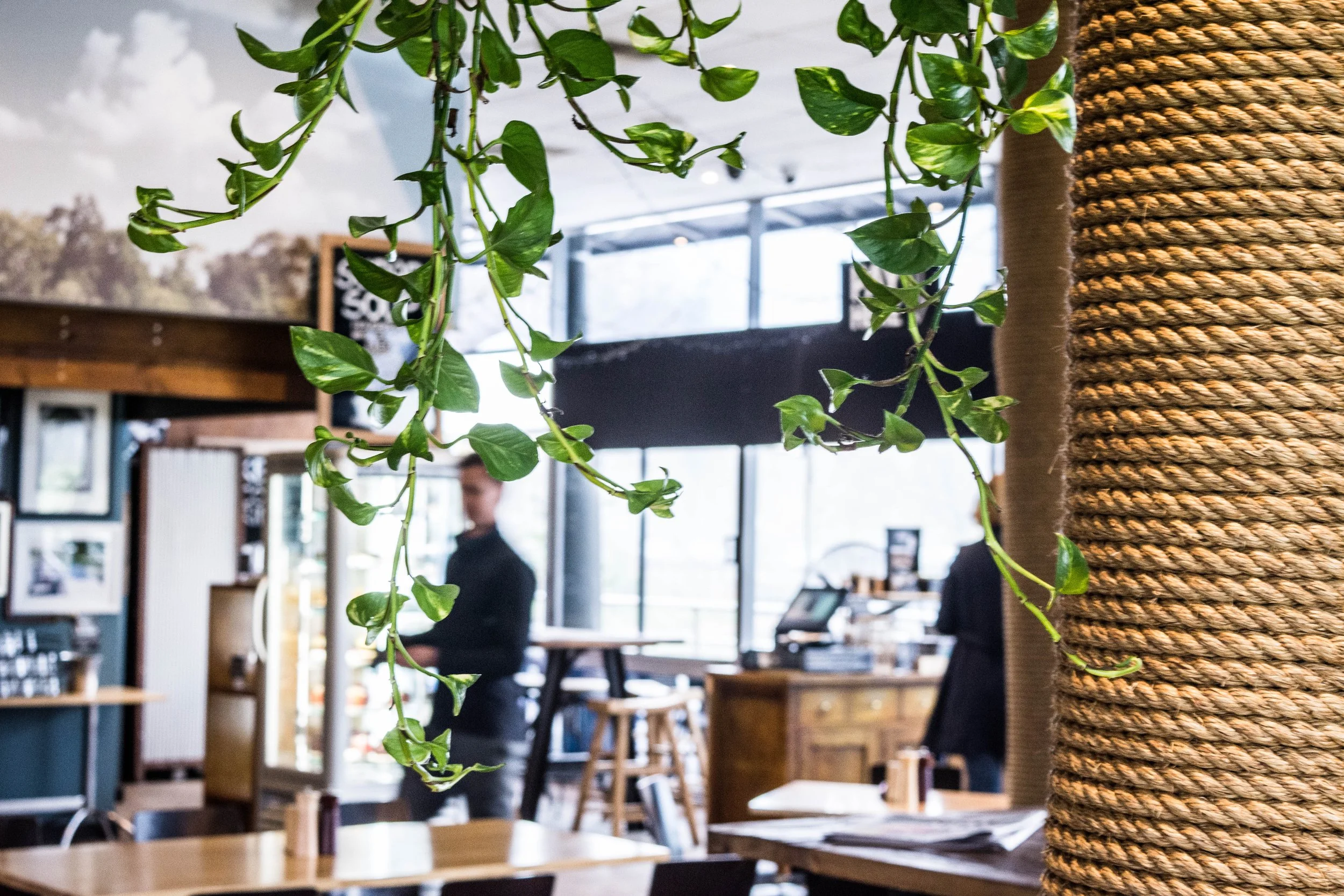 Cafe Bendigo Decor Stylish.jpg