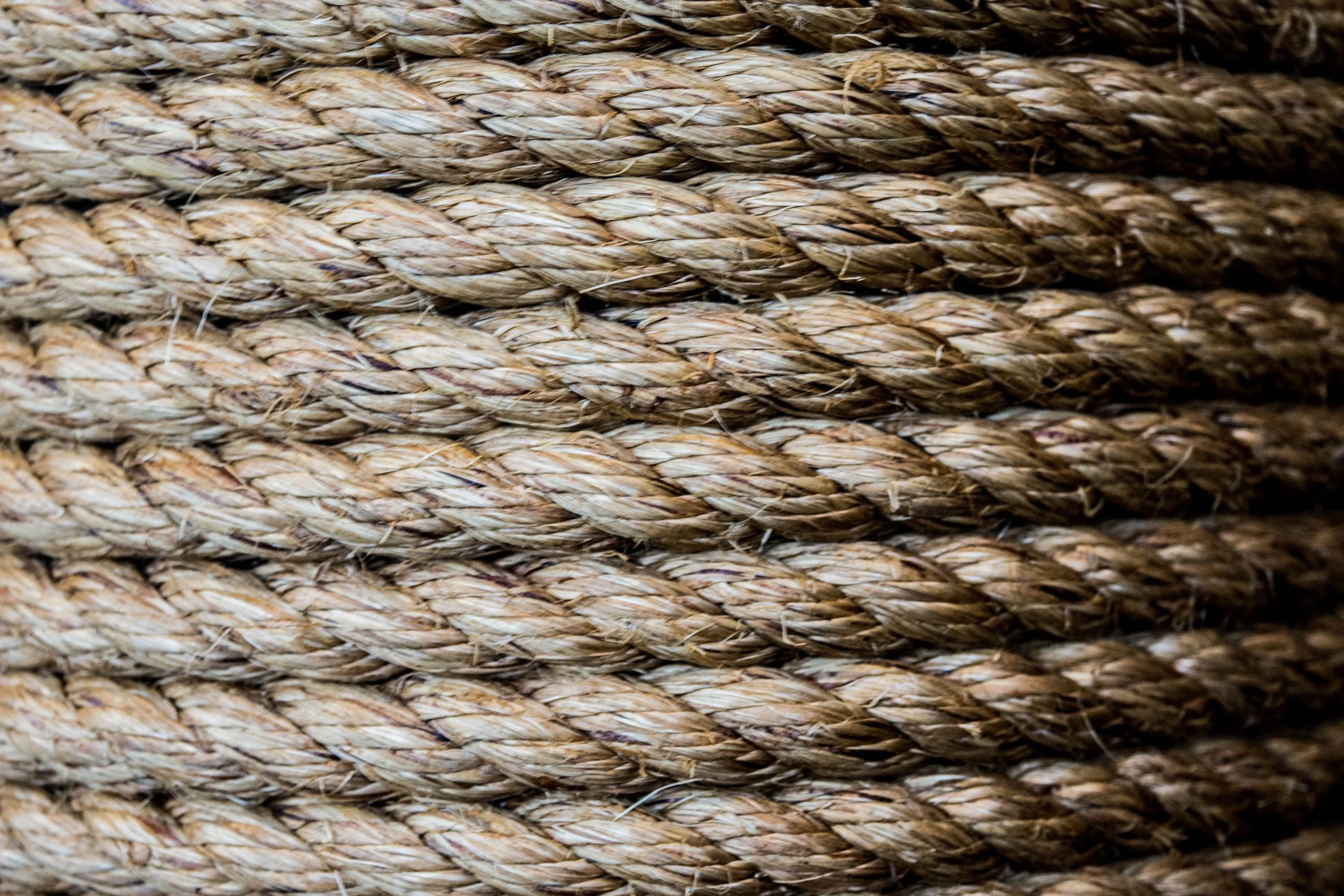 Bendigo Cafe Decor.jpg