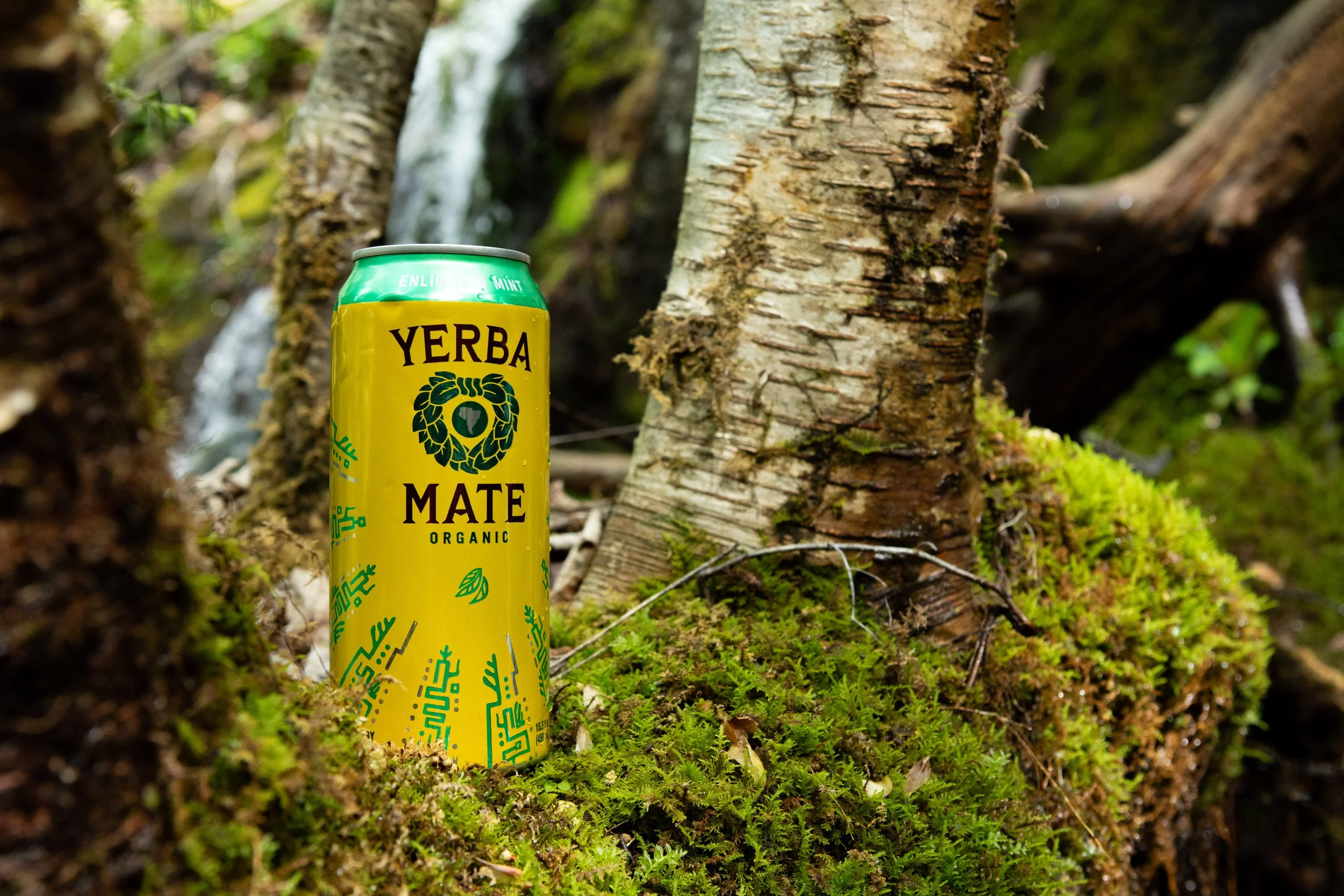 Yerba.Project-24.jpg