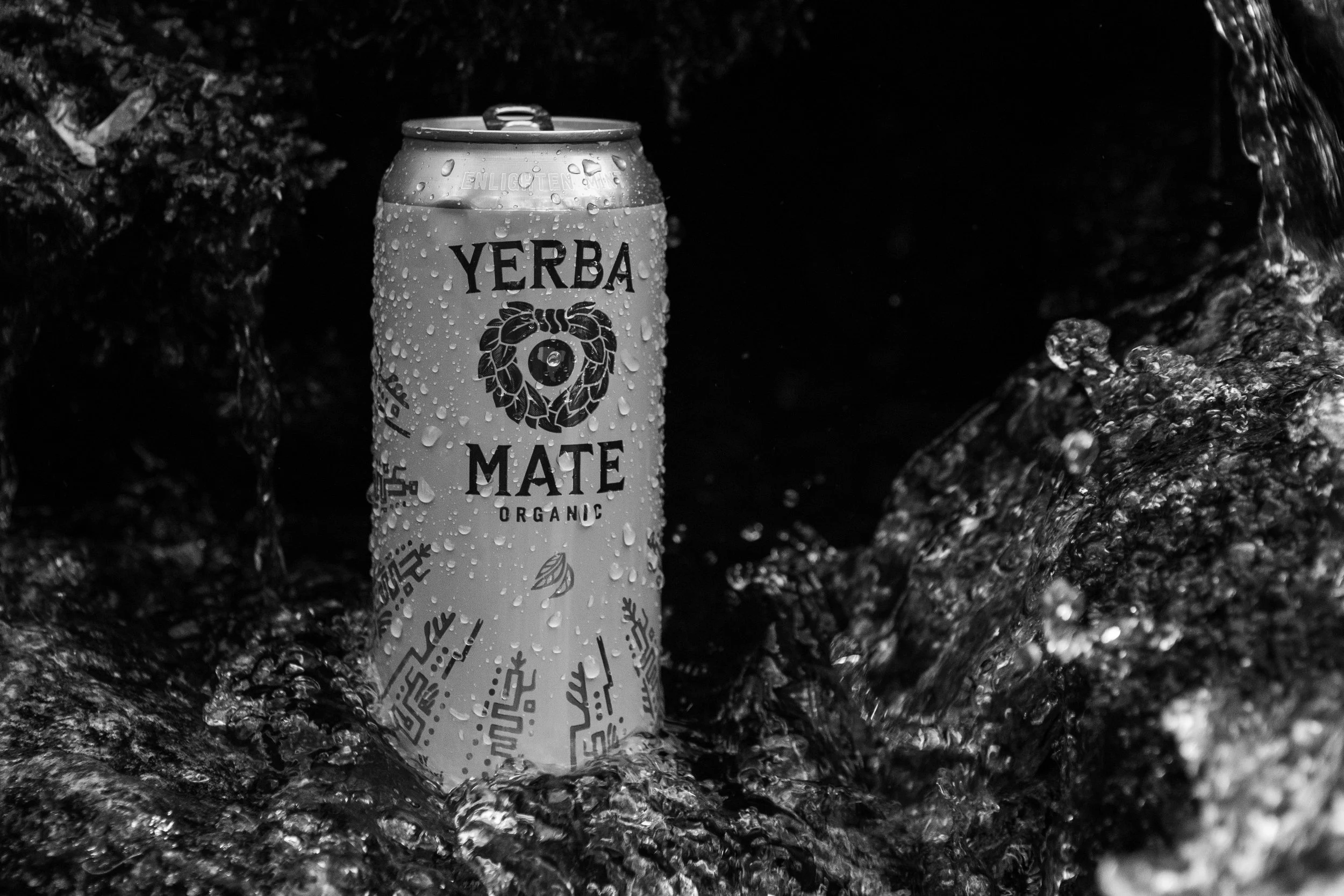 Yerba.Project-29.jpg