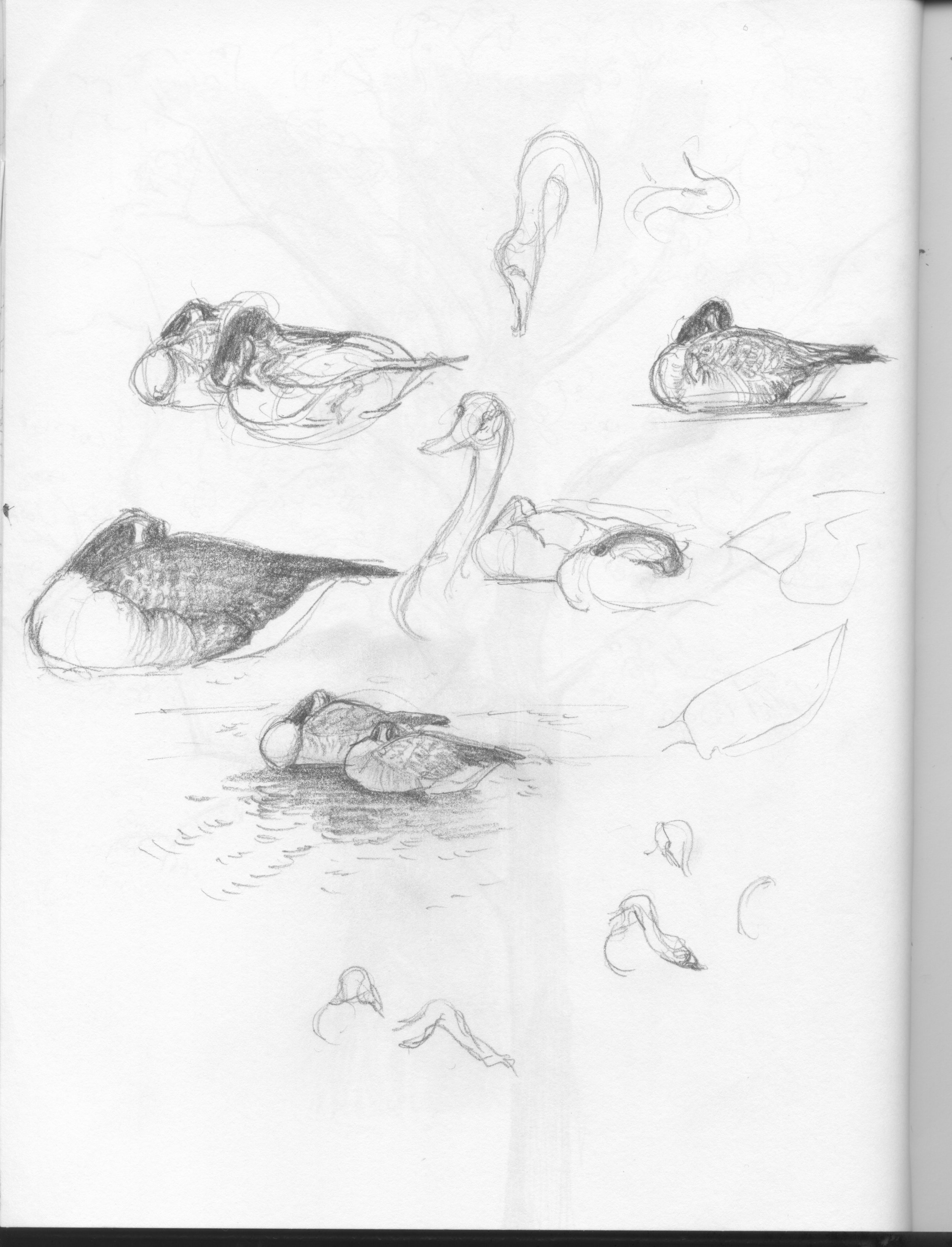 notebook sketches 10.jpeg