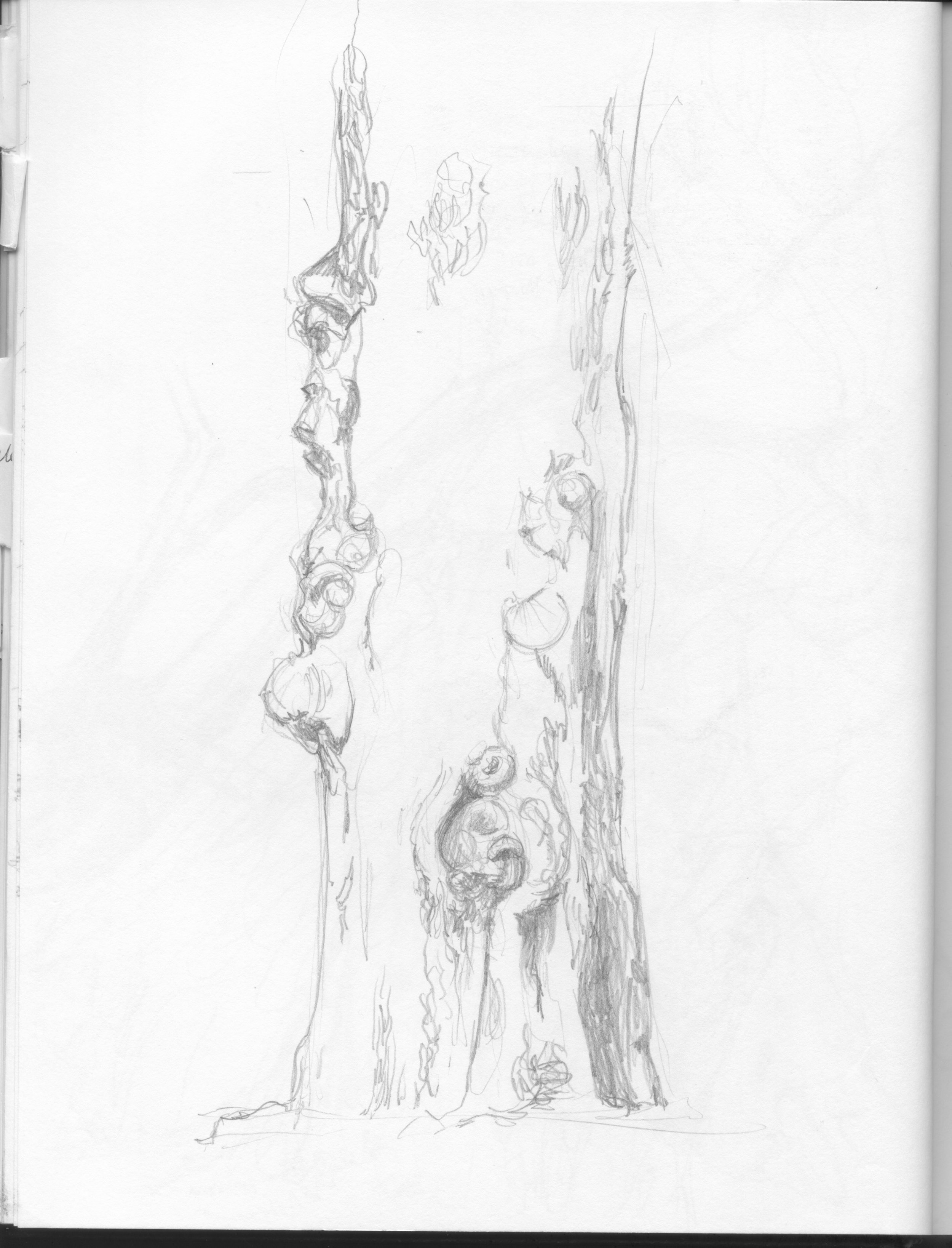 notebook sketches 3.jpeg