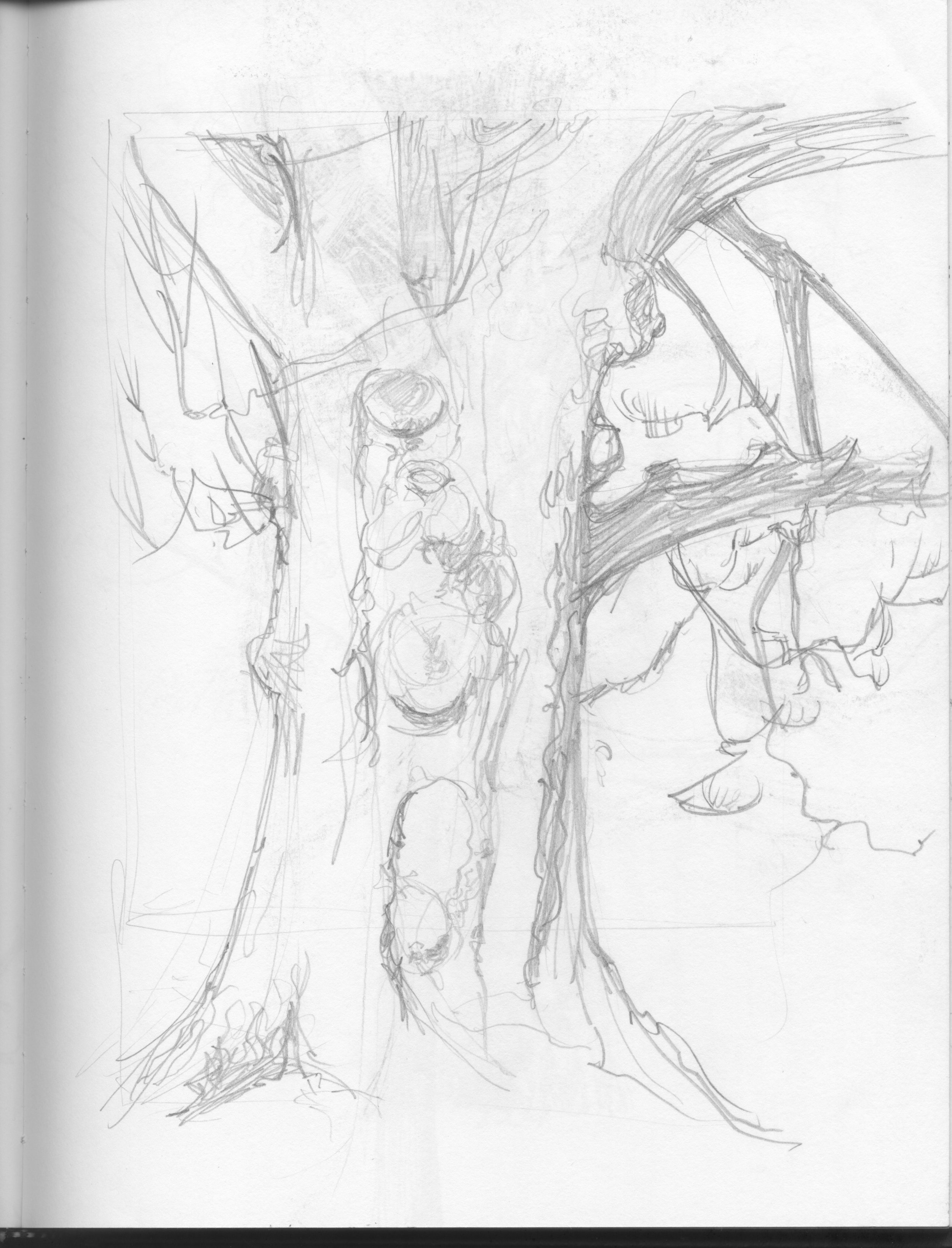 notebook sketches 7.jpeg