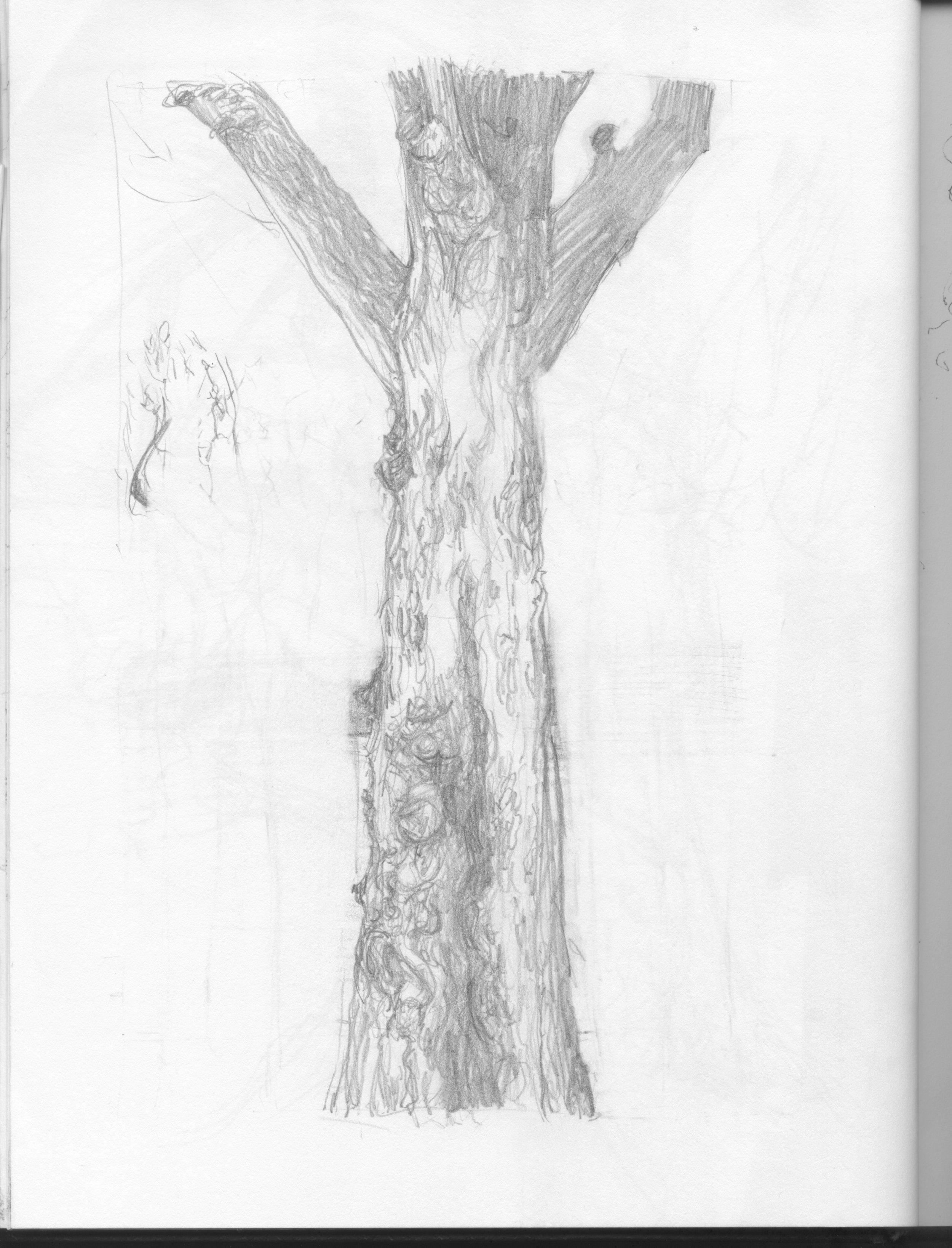 notebook sketches 8.jpeg