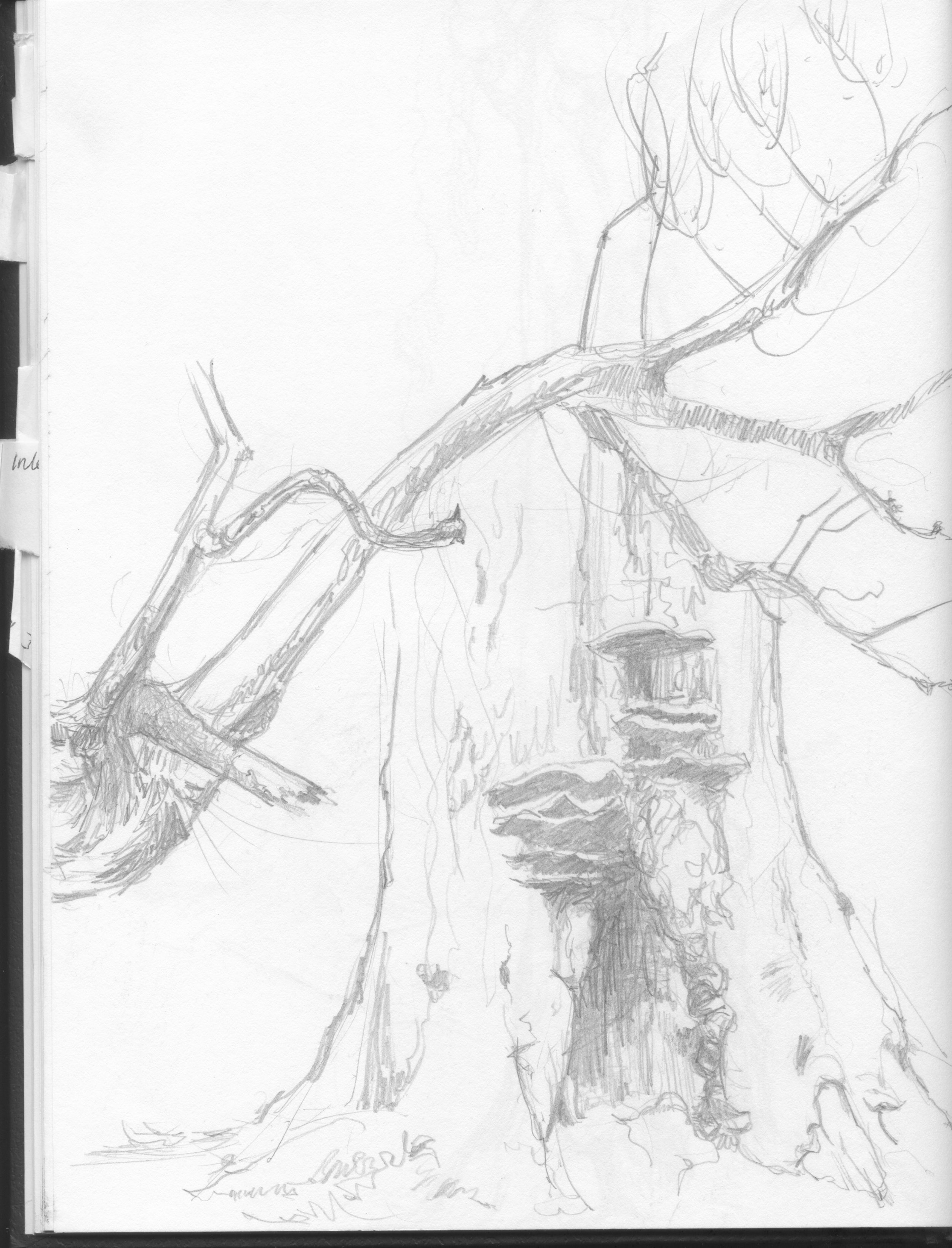 notebook sketches 1.jpeg