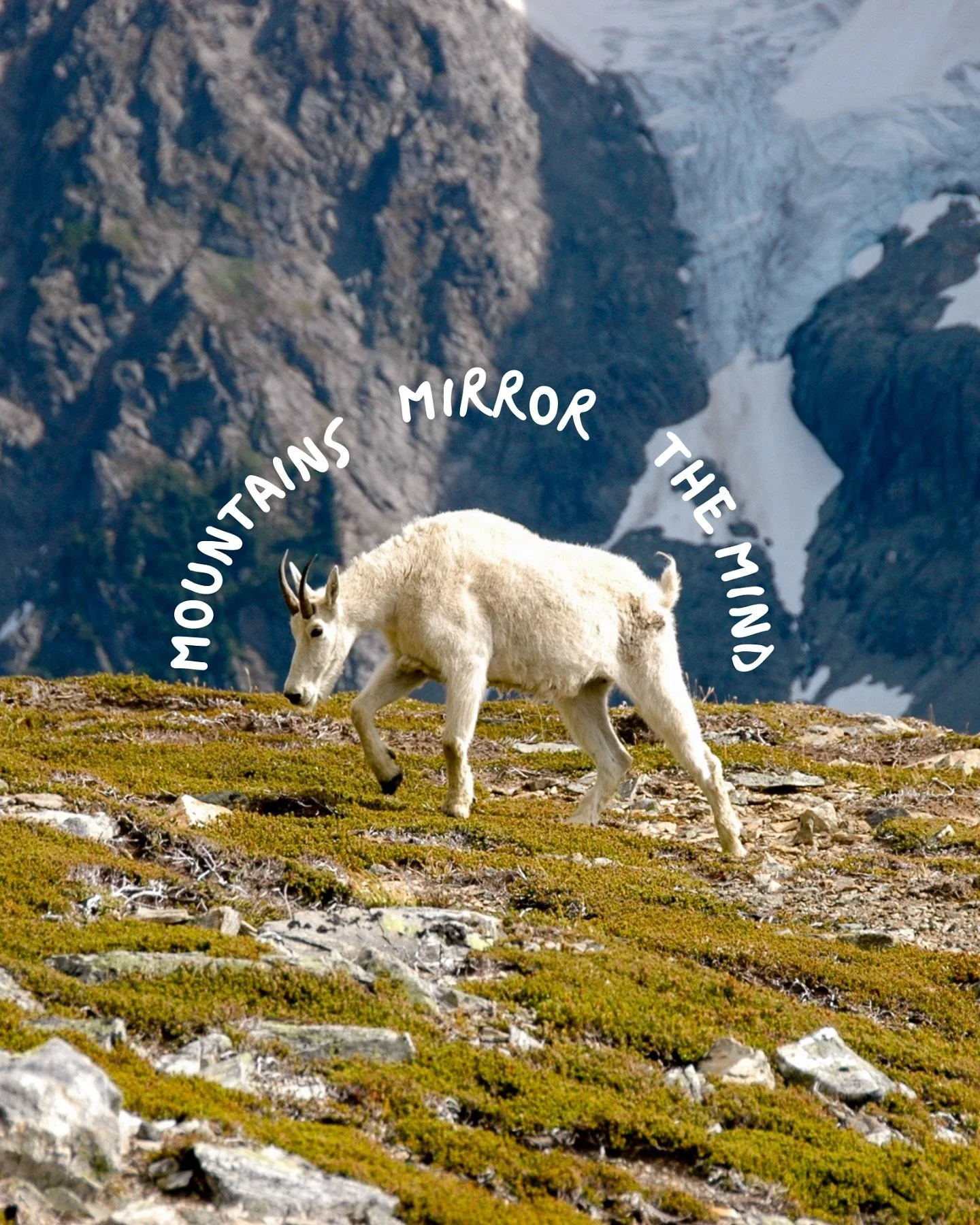 Mountains mirror the mind🪞🏔️💭

The trail mirrors our inner landscape &mdash; the highs and lows of the human experience: steep climbs, wide-open views, sudden drop-offs. Moments of joy and stretches of uncertainty. Everything shifts as you move th