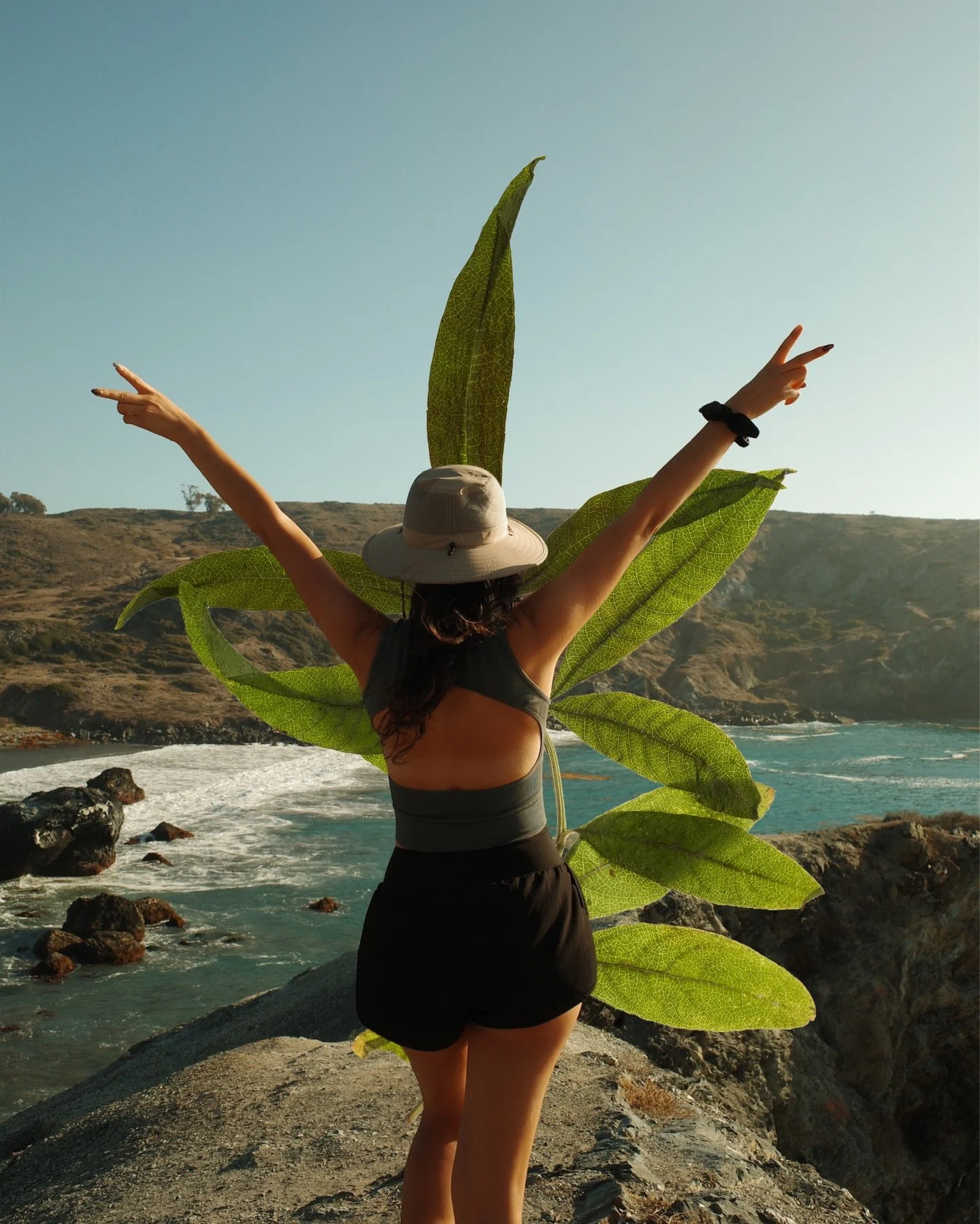 Our Catalina retreat is for the ones who feel most alive in the natural world. Basking in the sun, hiking along ridgelines, frolicking in the ocean, yoga on the sand, campfire nights under the palms.⁠
⁠
only a few spots left, June are you coming? I t