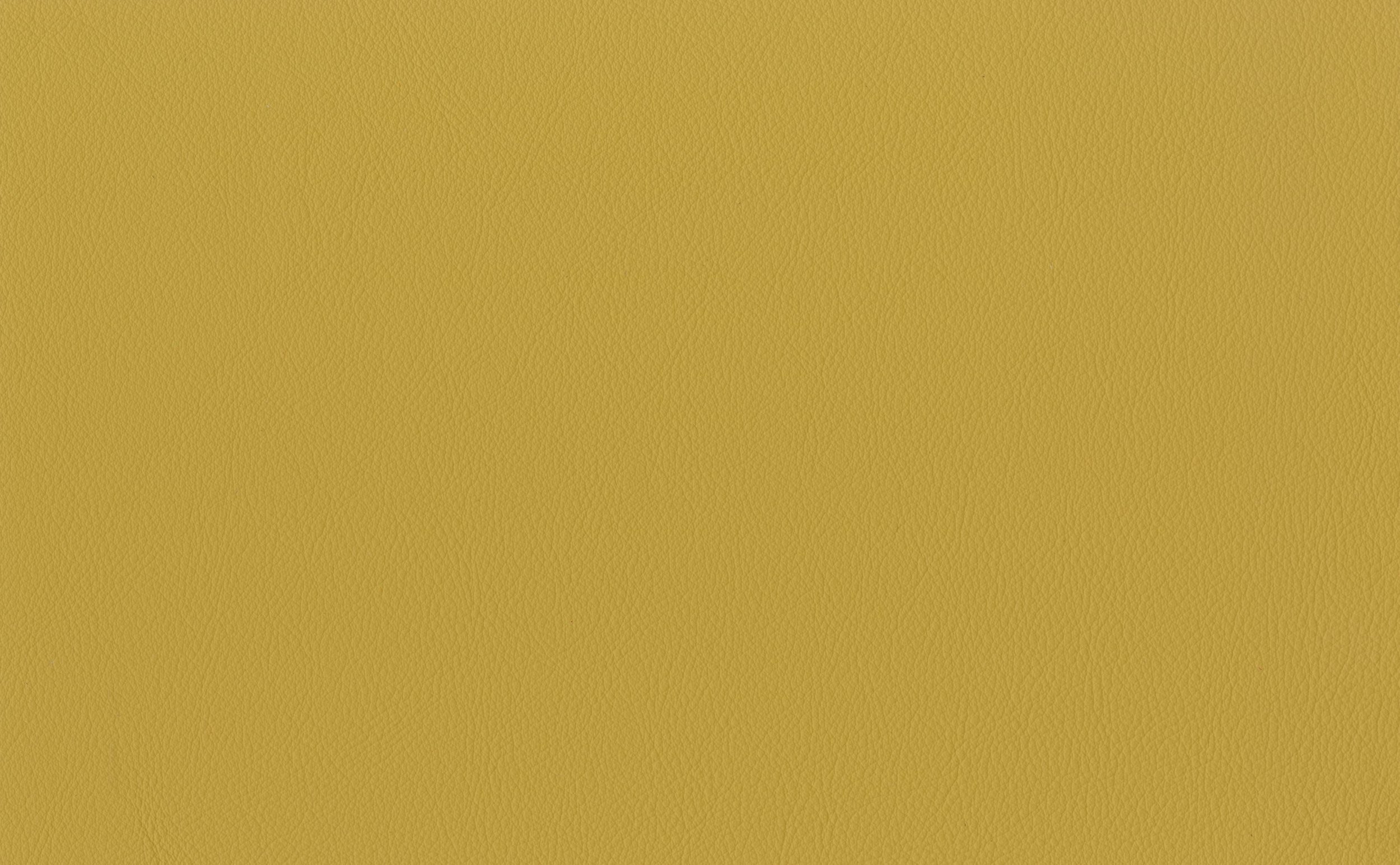 Curry