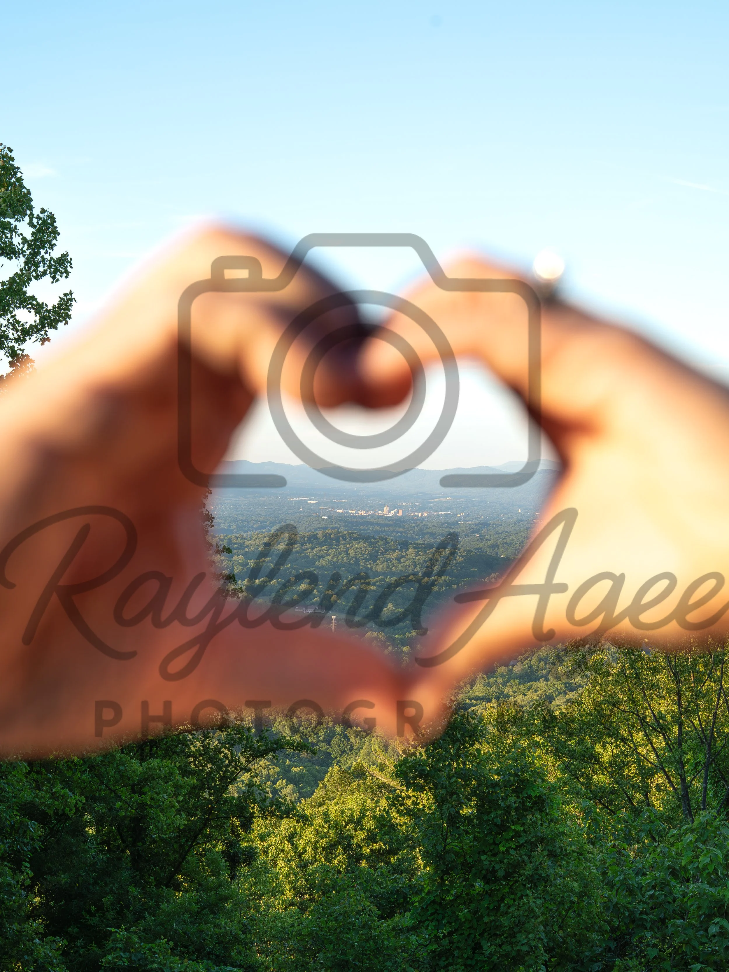 website 24-1.jpg