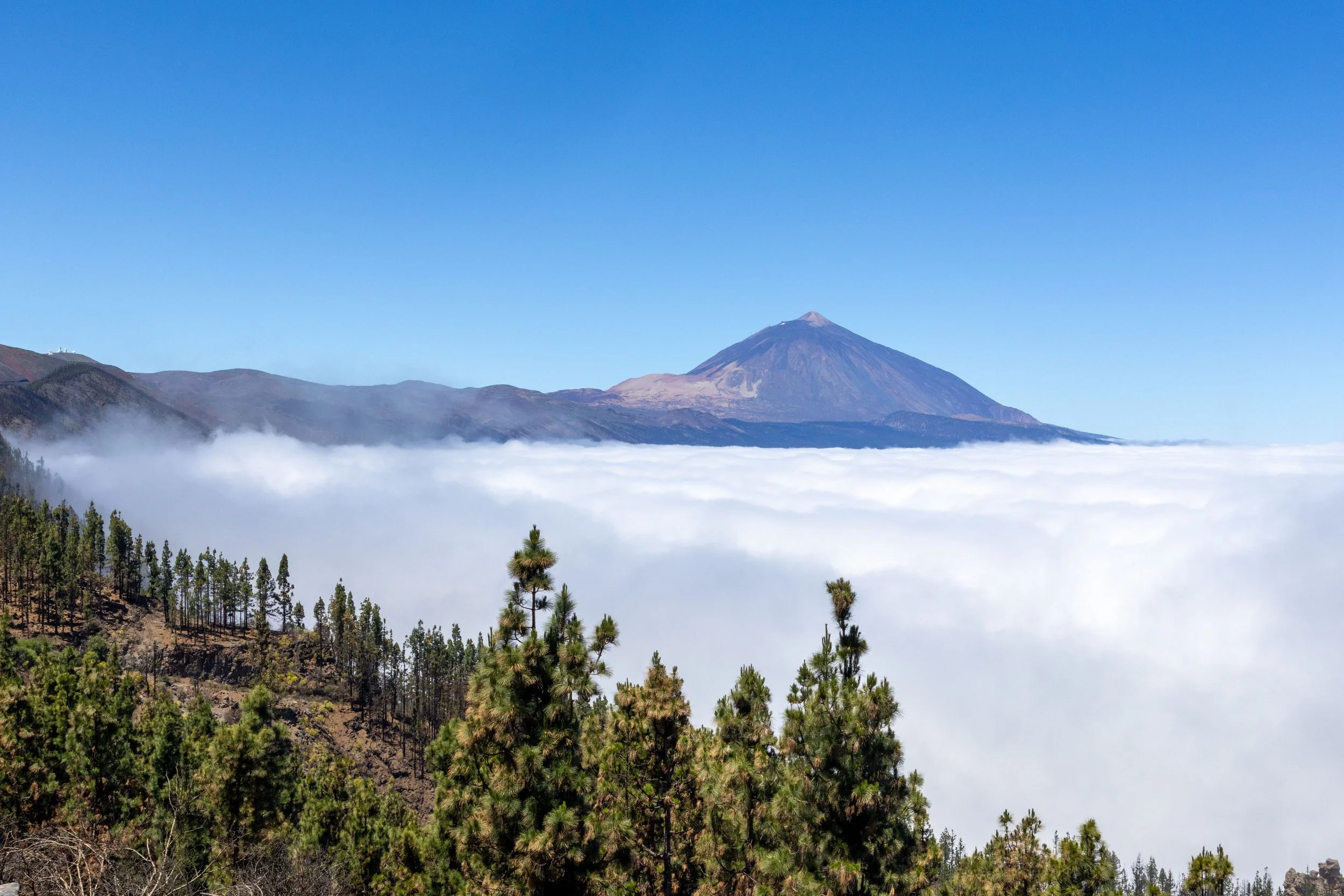 resized canary island mountains.jpg