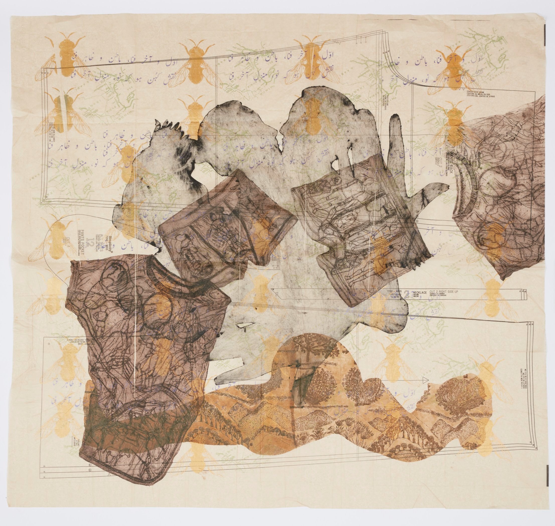 01_Dichotomy of Foreign Seeds.jpg