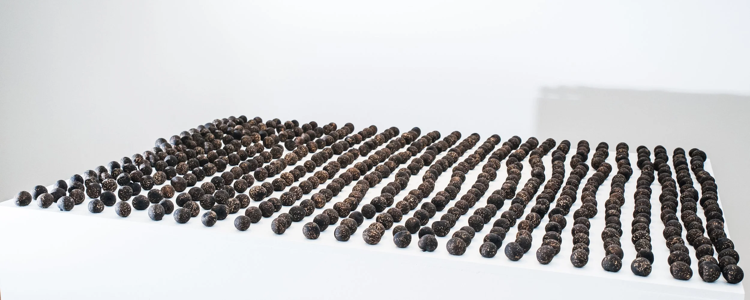 Silent Conversation_2017_Longan Seeds_Hand Carved_550seeds.jpg