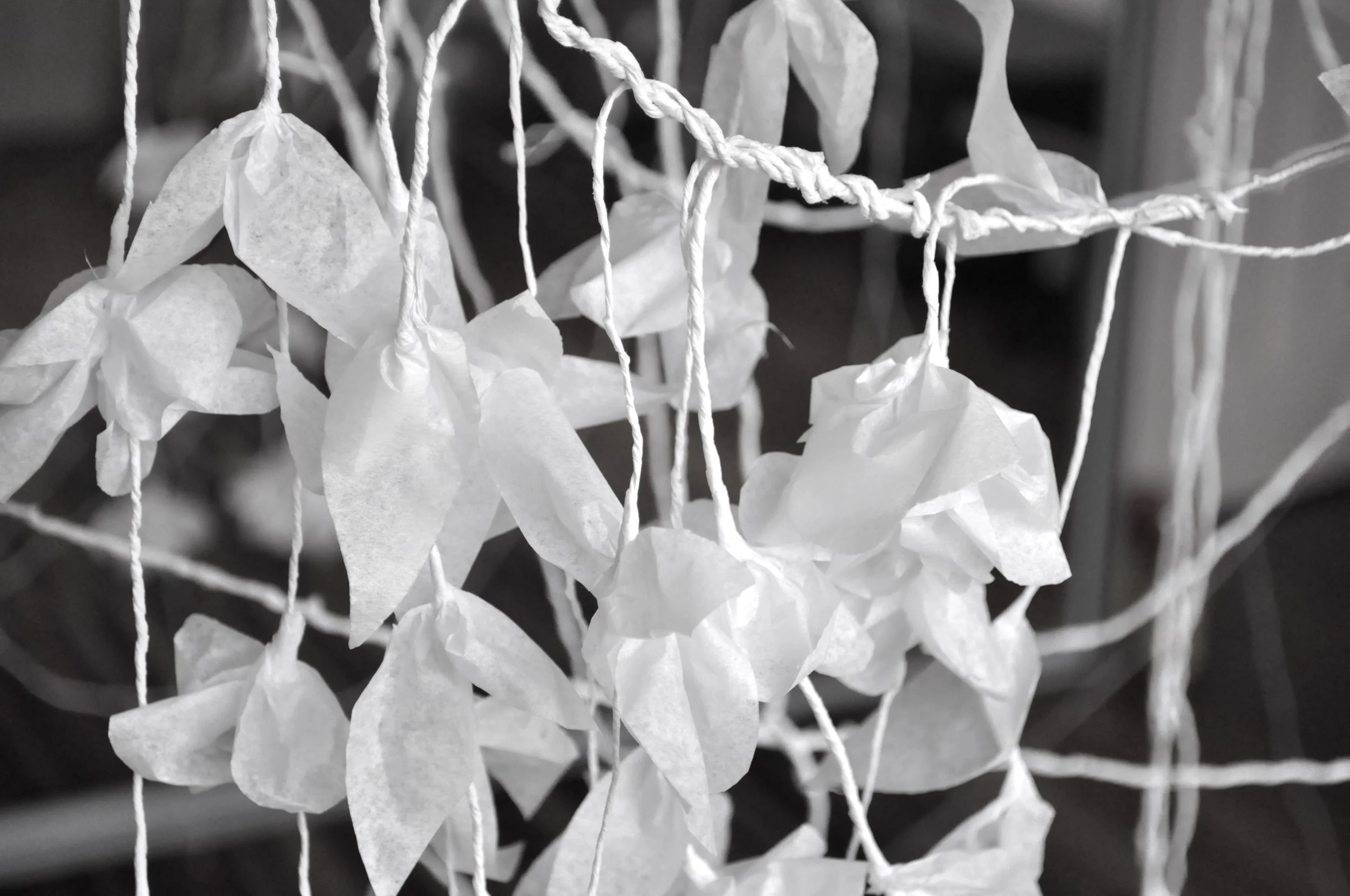 Mehwish Iqbal_Paper Garden 04.JPG