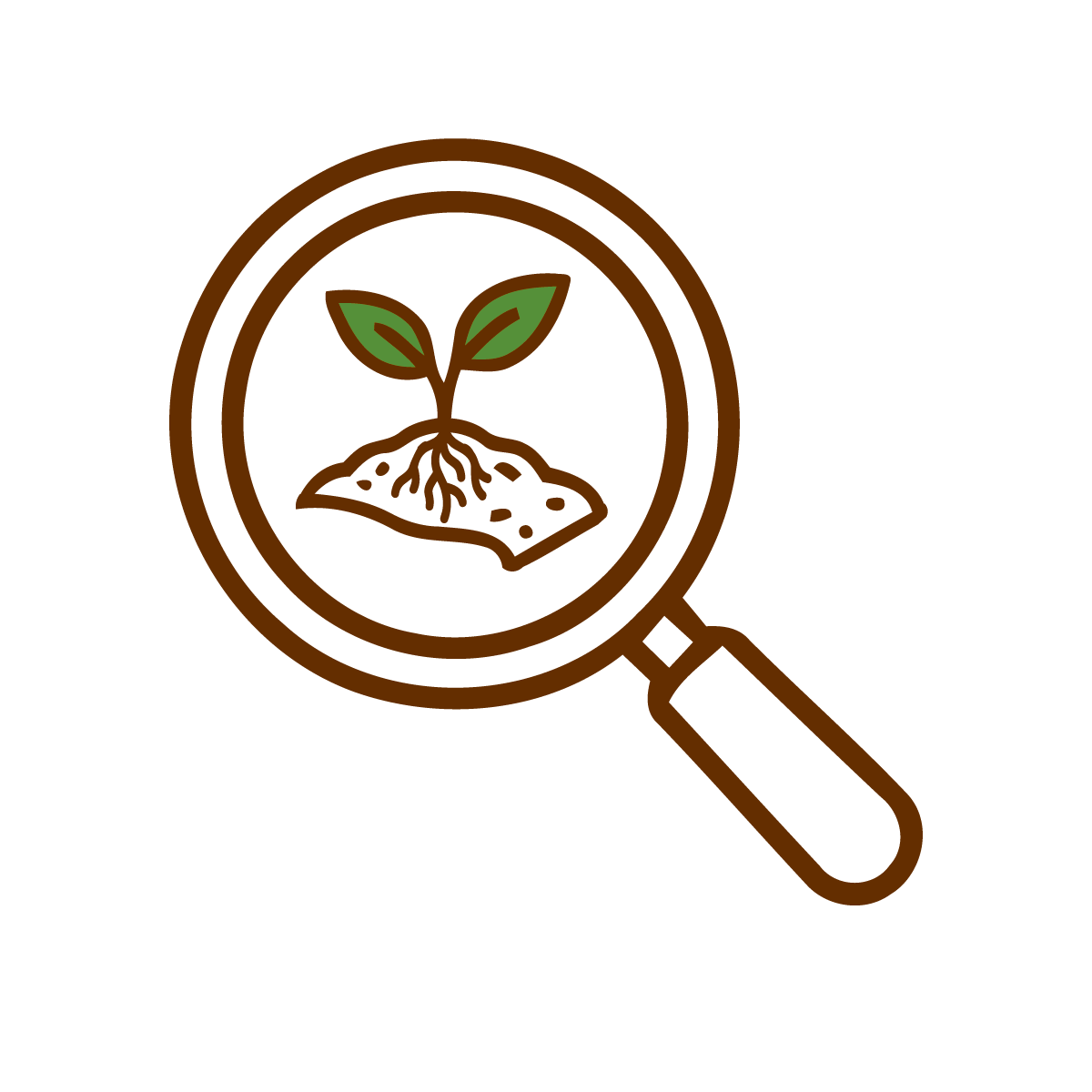 Illustration of a magnifying glass focusing on a young plant with roots.