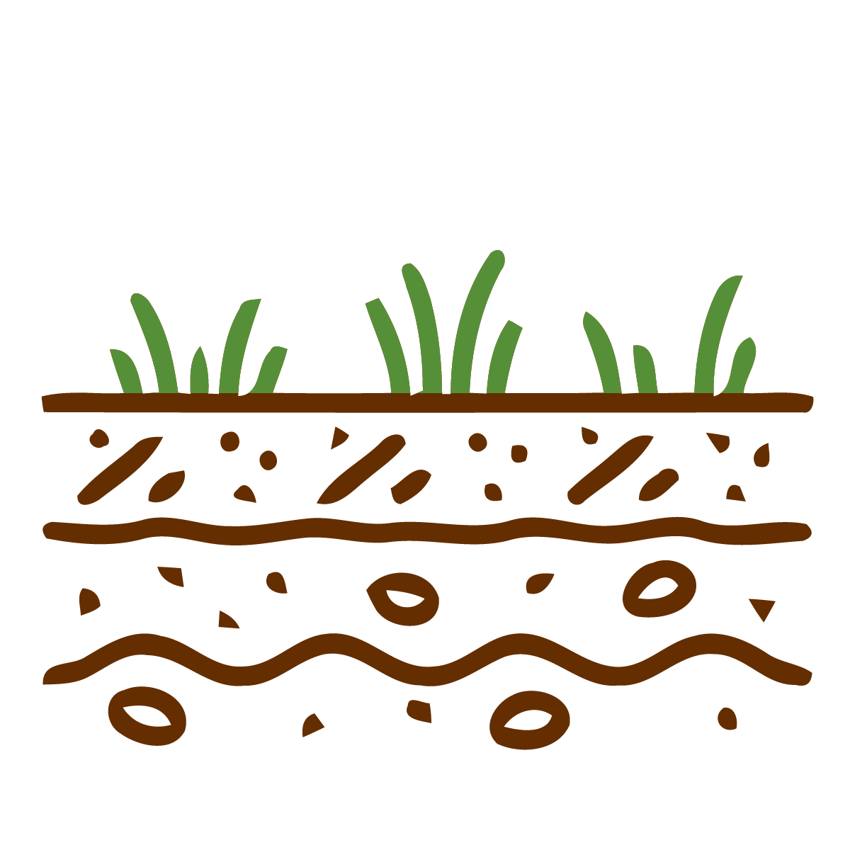 Illustration of soil with grass growing on the surface and roots extending underground.