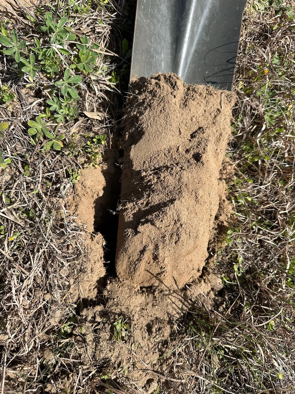 Shovel of dirt on some grass.