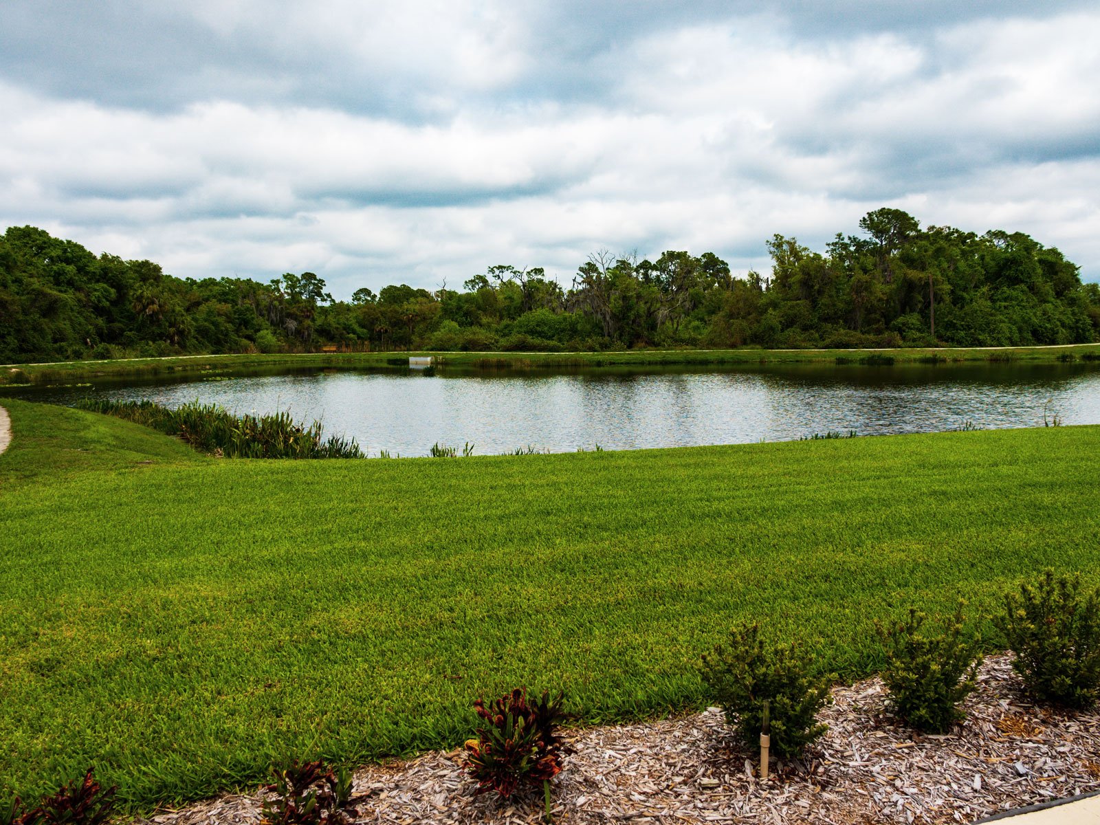 Retention pond surrounded by green grass and small trees.
