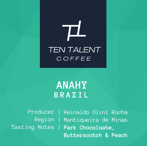 Anahy coffee beans from Ten Talent Coffee