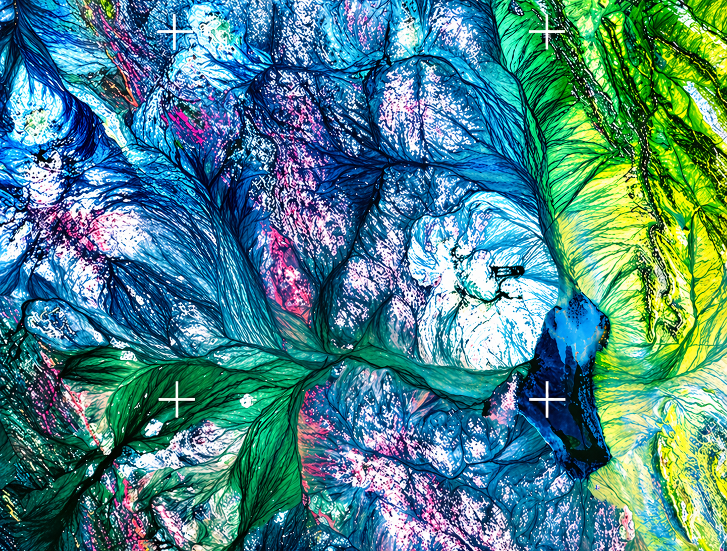 Image Processing