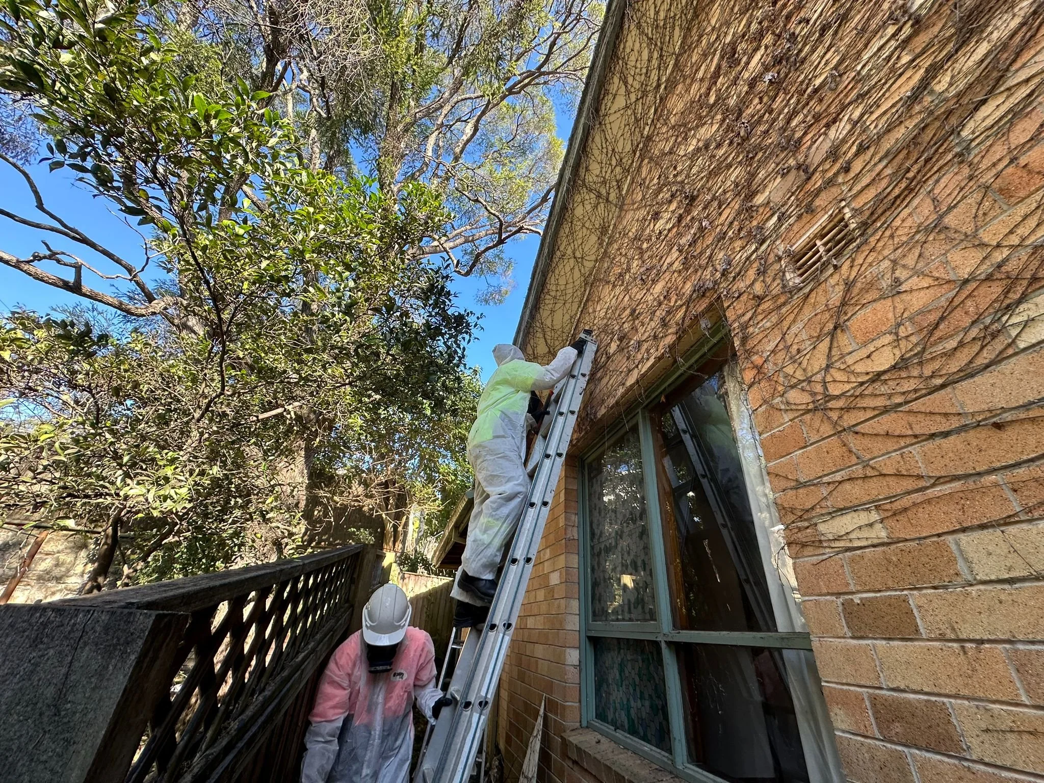 Asbestos Eaves Removal
