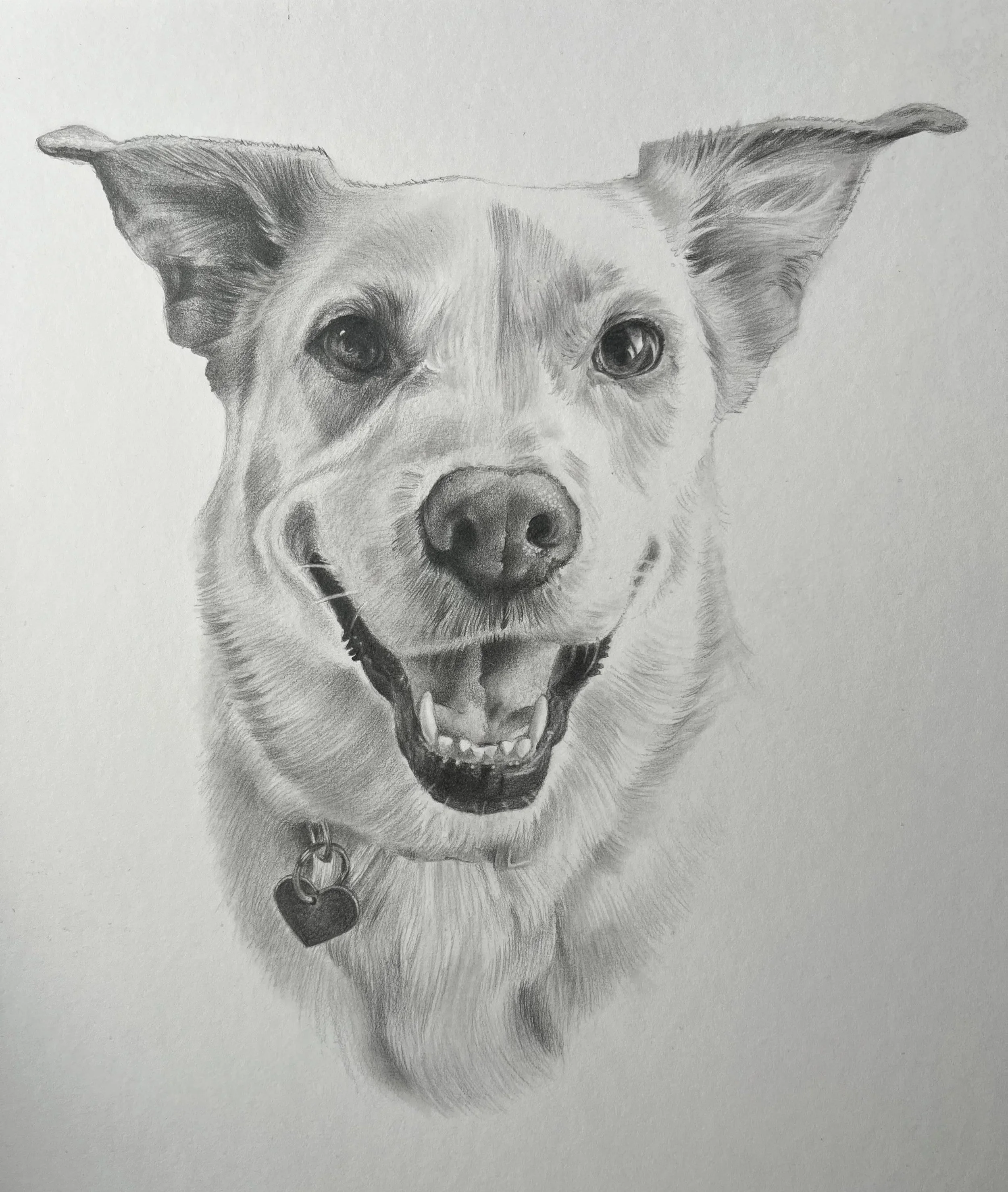 Commission - 2025
Graphite on Illustration Board