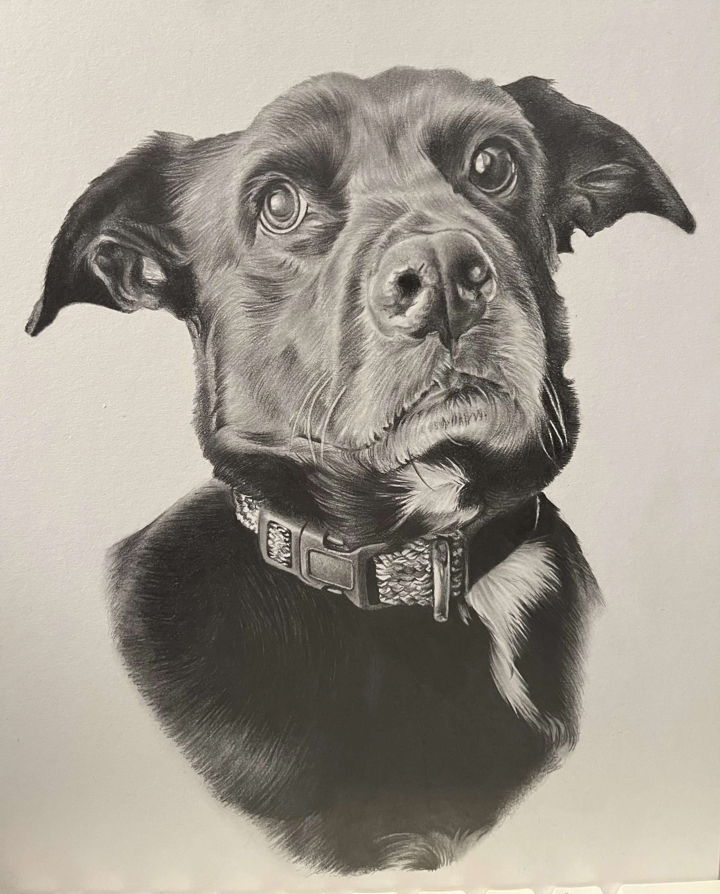 Commission - 2025
Graphite on Illustration Board