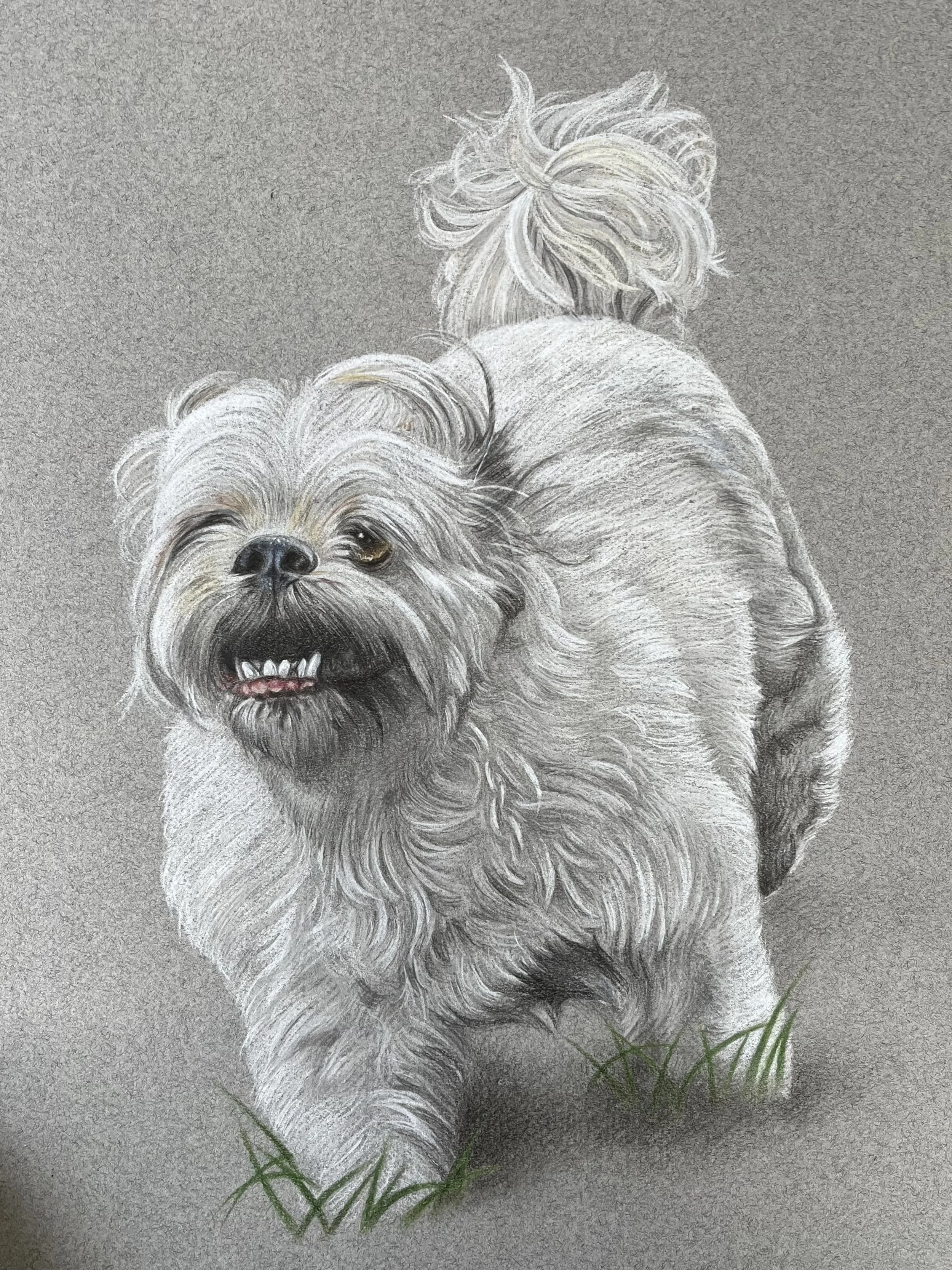 Commission - 2025
Colored Pencil on Illustration Board