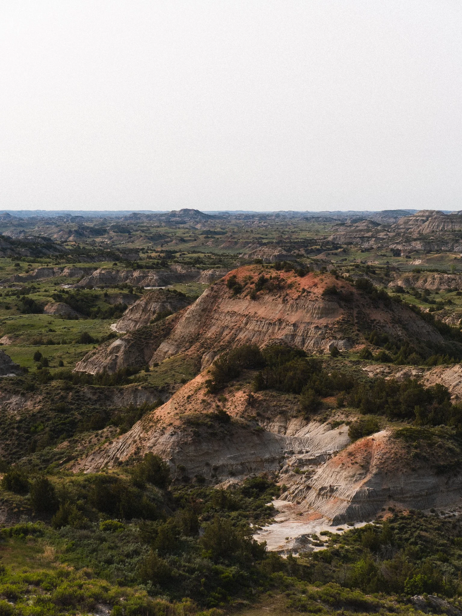 THEODORE ROOSEVELT NATIONAL PARK (SOUTH)
