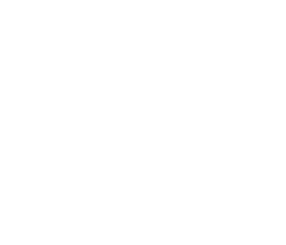 Aureum Link / Welded Jewelry