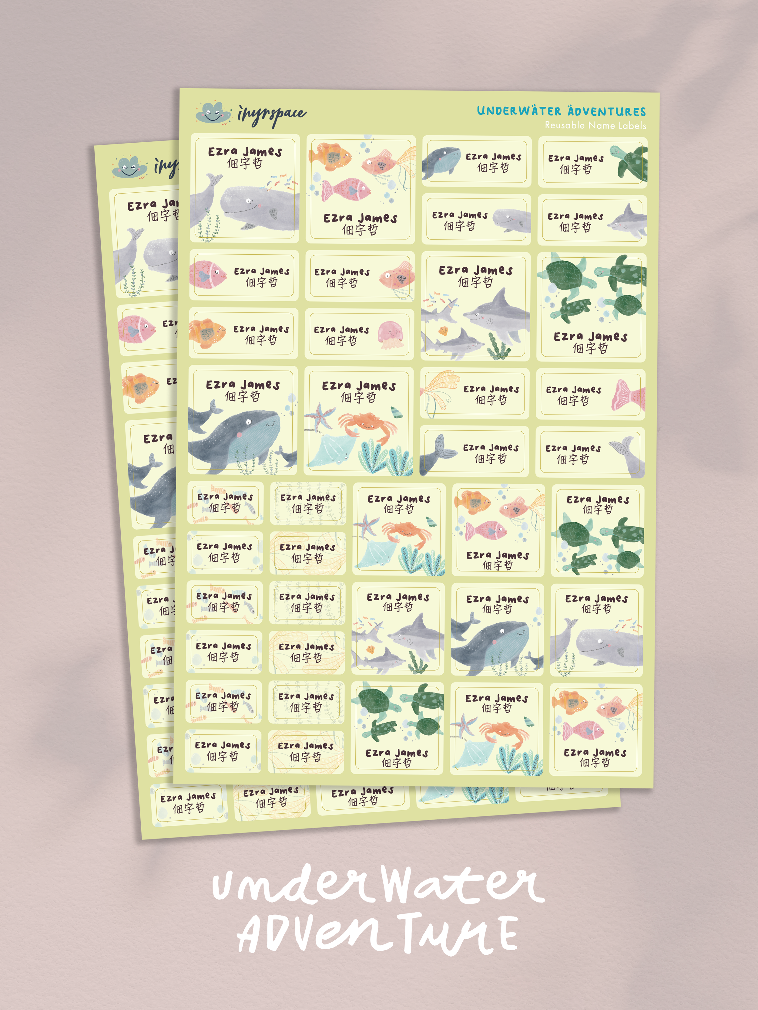 Name Label-Labelled-UA-1.png