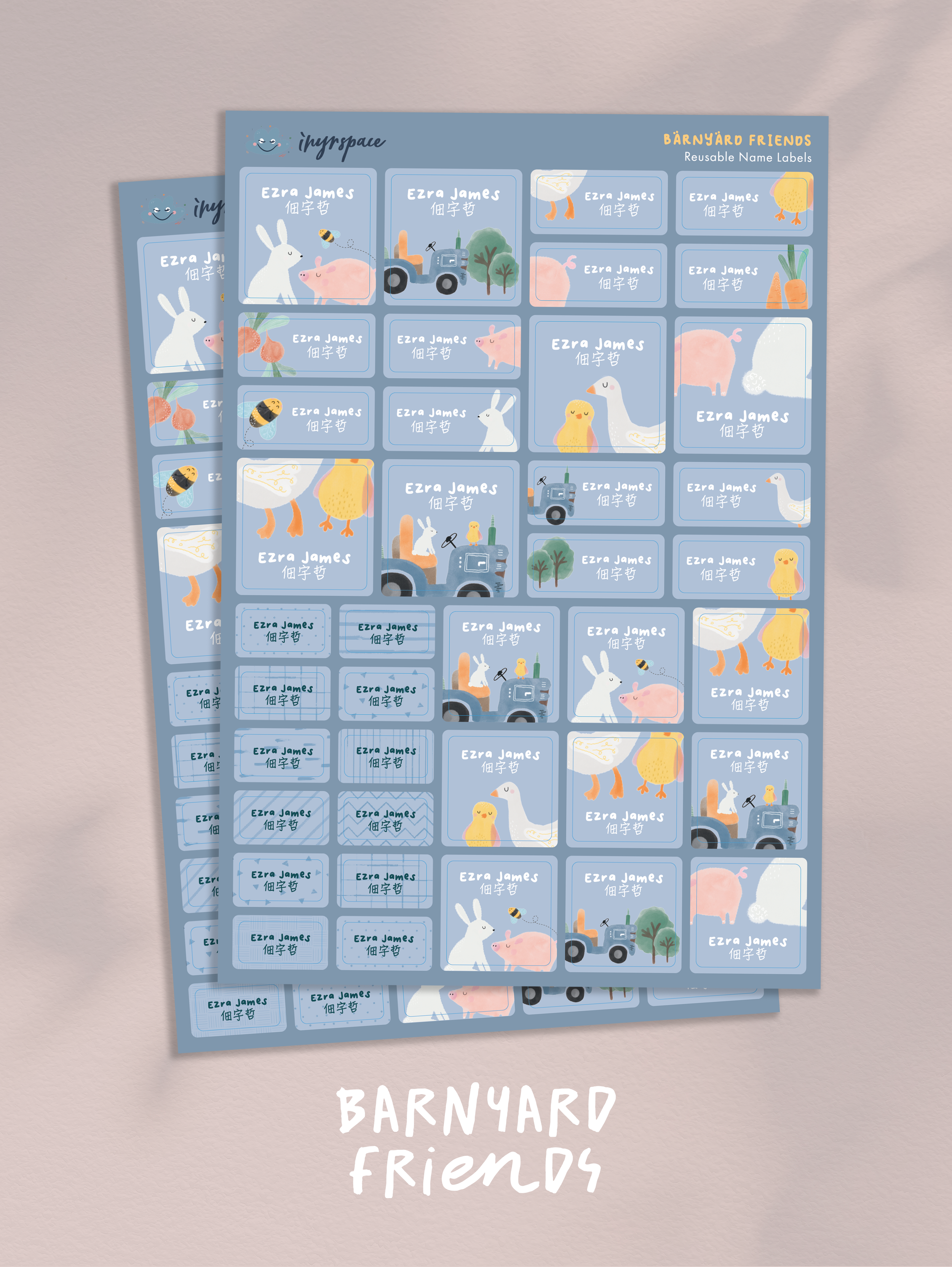 Name Label-Labelled-BF.png