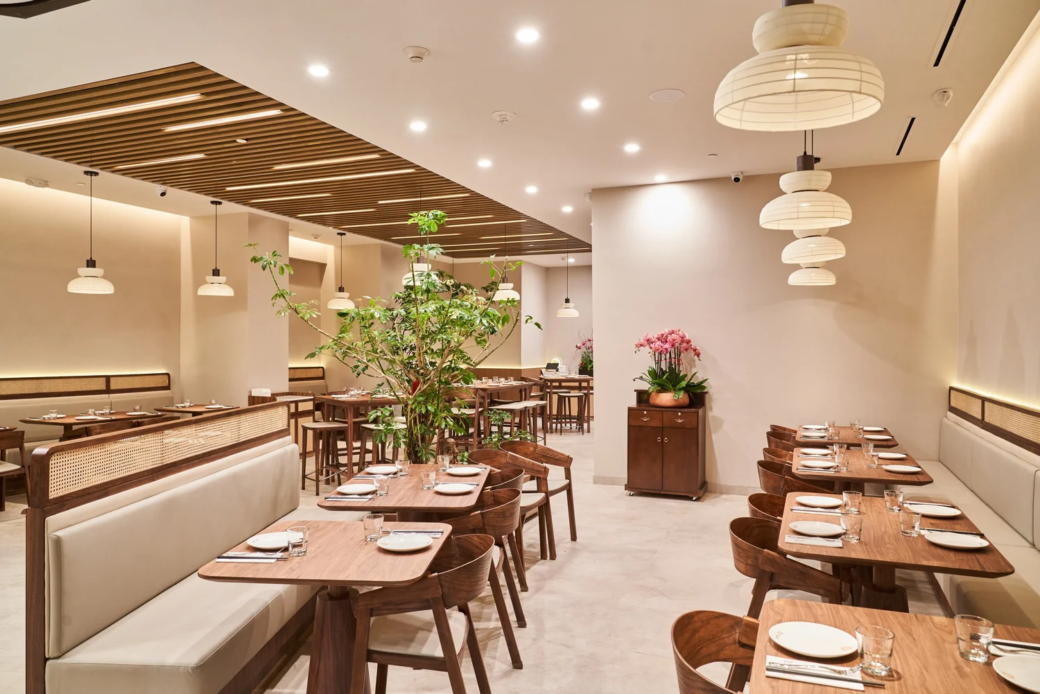 The Alcove at Le Soleil Stonestown — the banquette corner along the wall, set among the plants and orchids