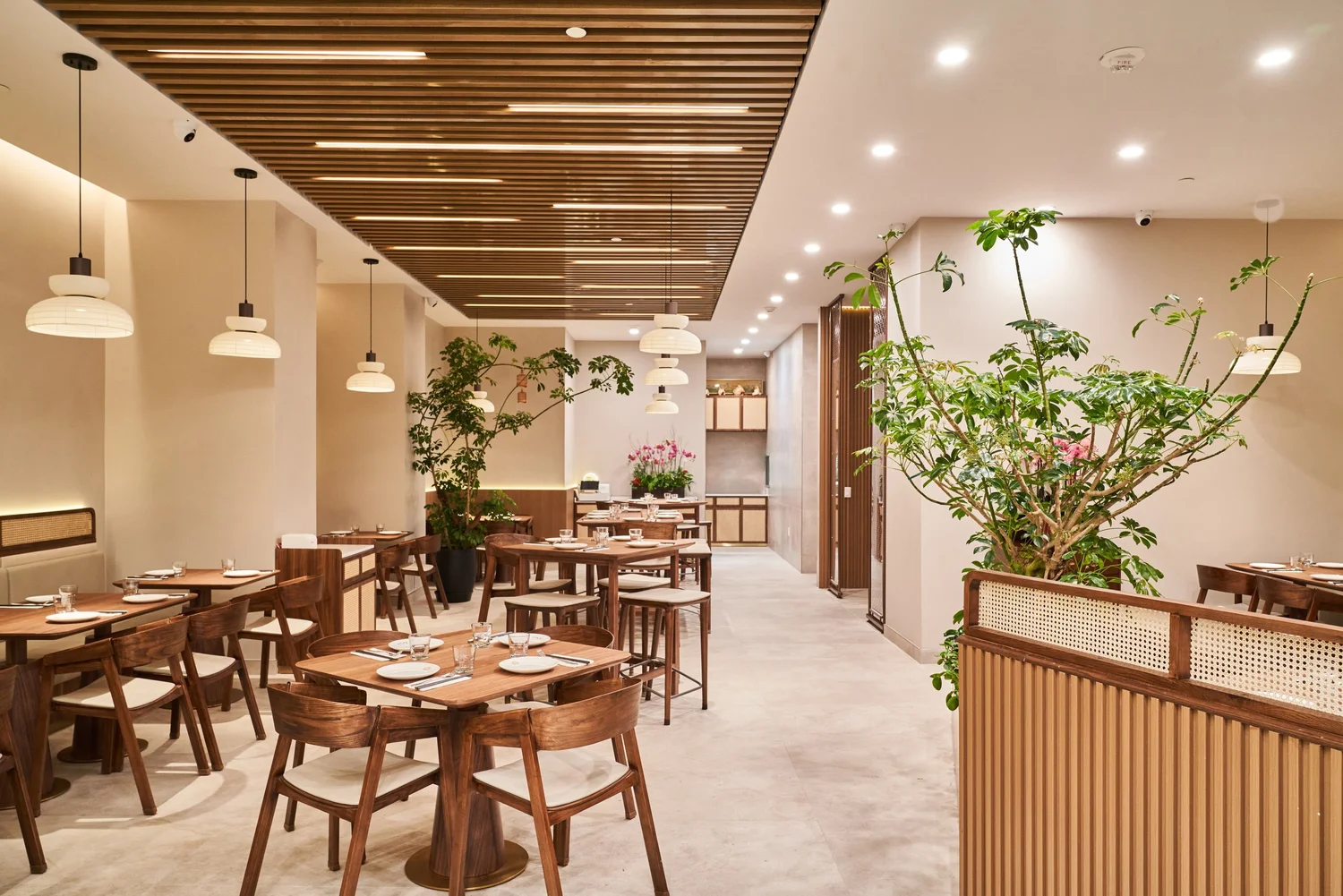 The main restaurant at Le Soleil Stonestown — rows of wood tables under the slatted ceiling, beside the planter wall