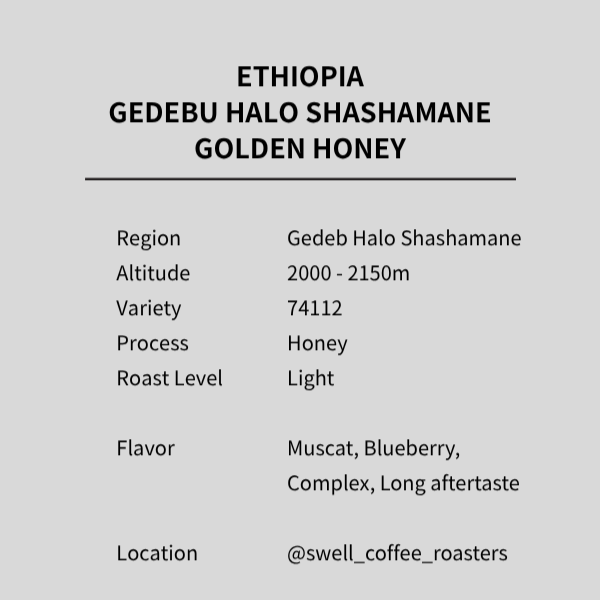 ETHIOPIA GEDEBU HALO SHASHAMANE GOLDEN HONEY