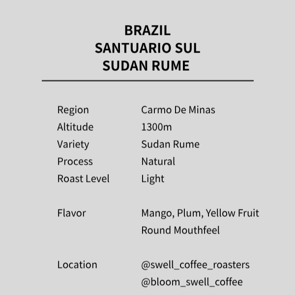 BRAZIL SANTUARIO SUL SUDAN RUME