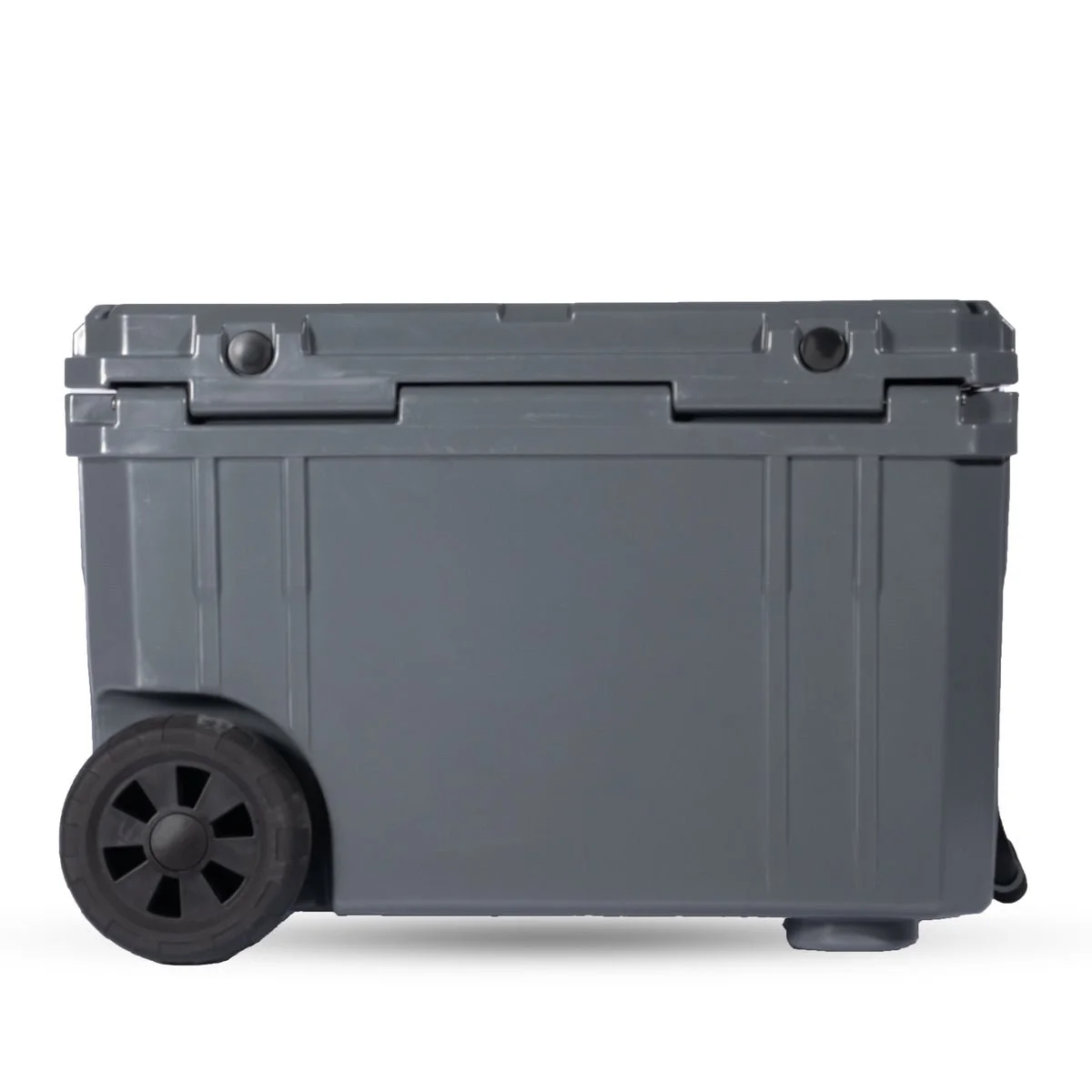 80l_rolling_back_x1200.progressive.png.jpg