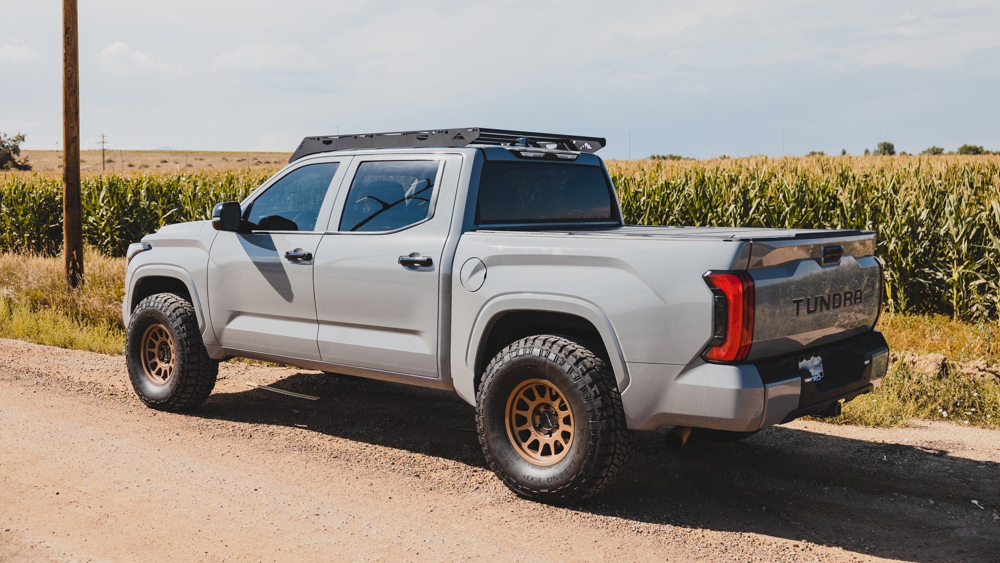 grizzly-16x9-11.jpg
