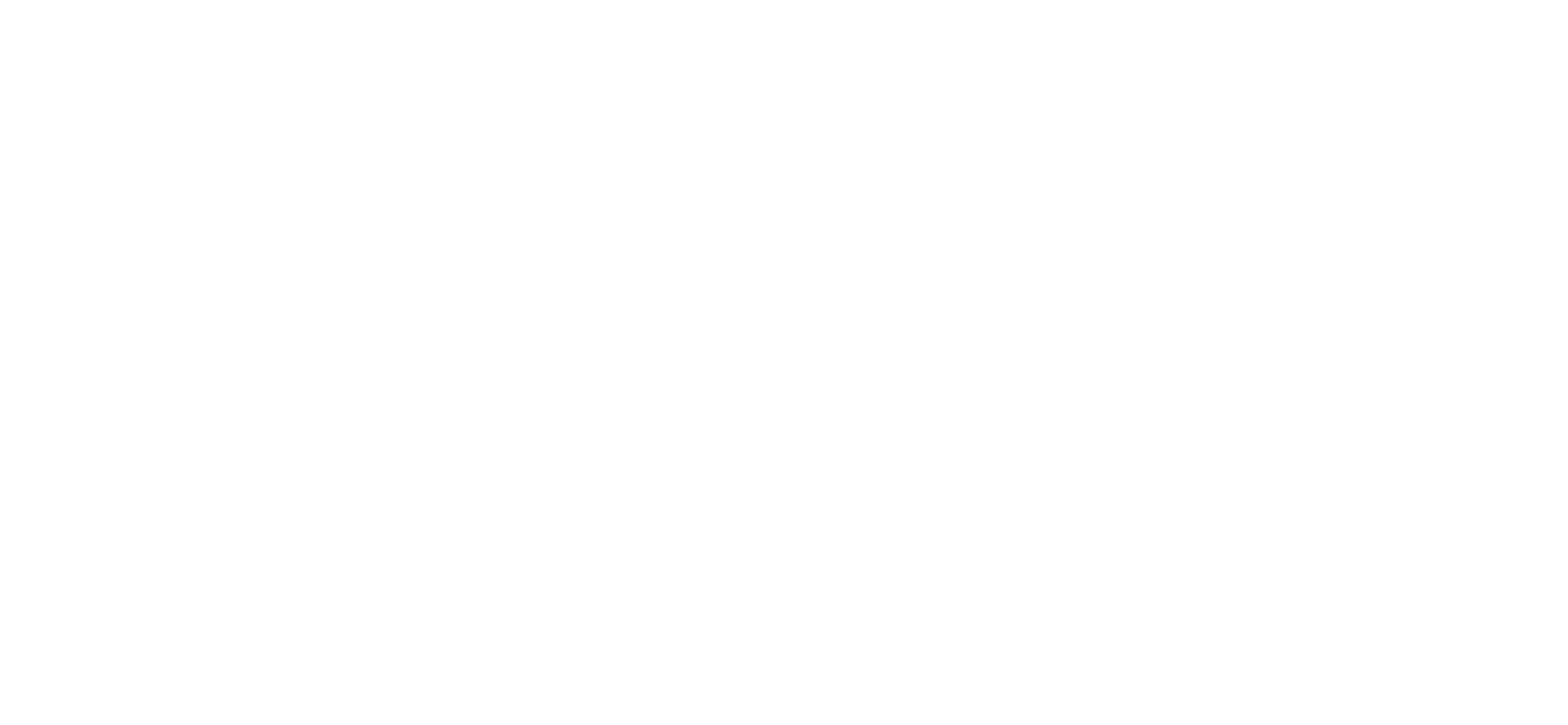The logo for ROTHKO, featuring the words 'Fire' and 'Ferment' with a flame icon in between, all in white on a black background.