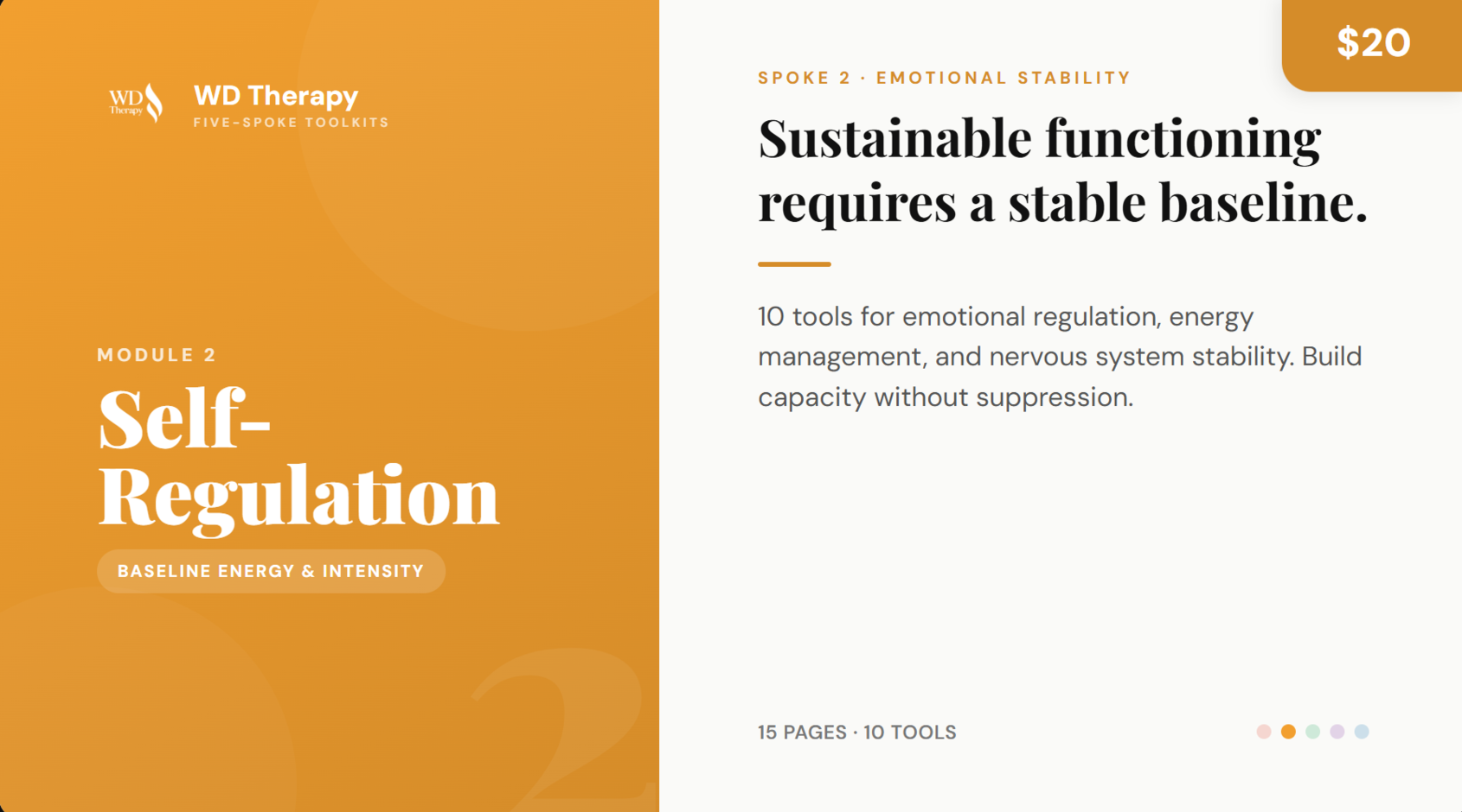 Module 2: Self-Regulation Toolkit