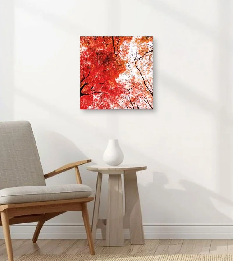 Autumn Canopy Canvas Wall Art — Nature Print