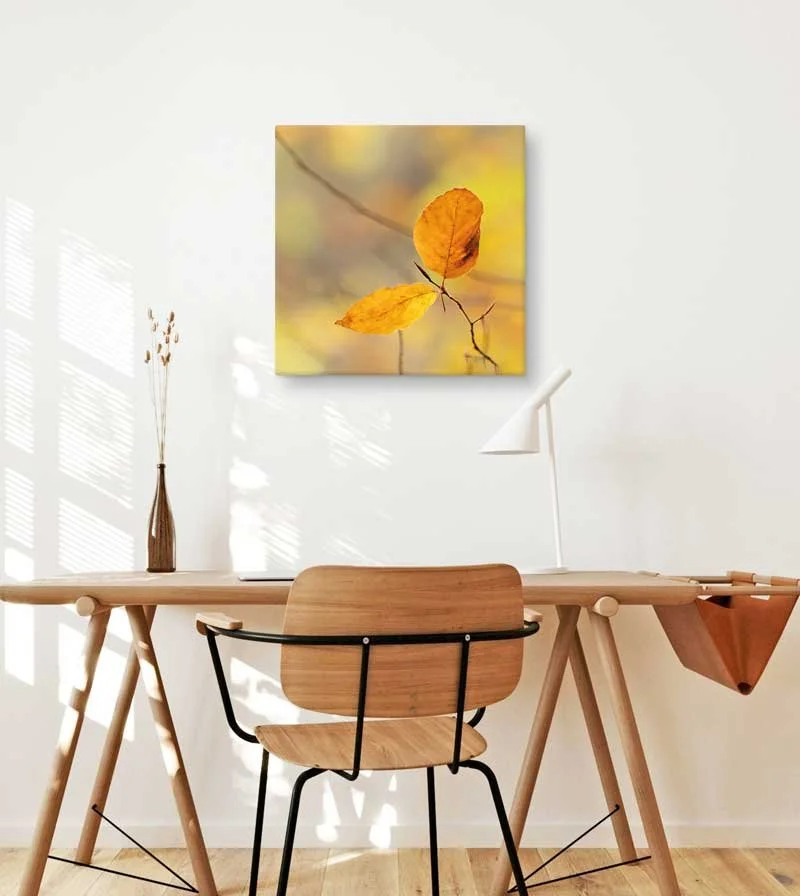 Autumn Beech Canvas Wall Art — Nature Print